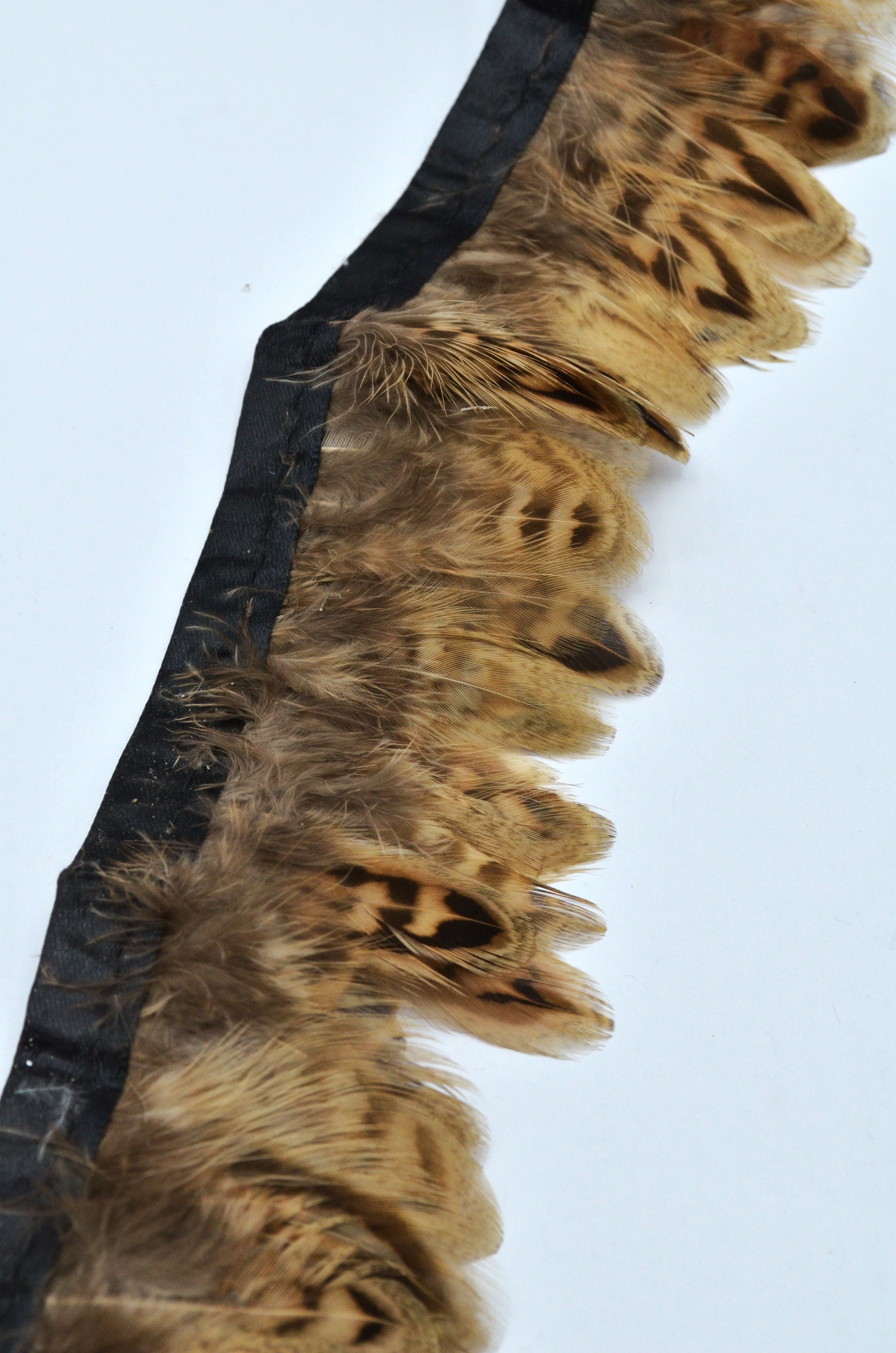 Banda Pene 6cm, 1.90m/Bucata