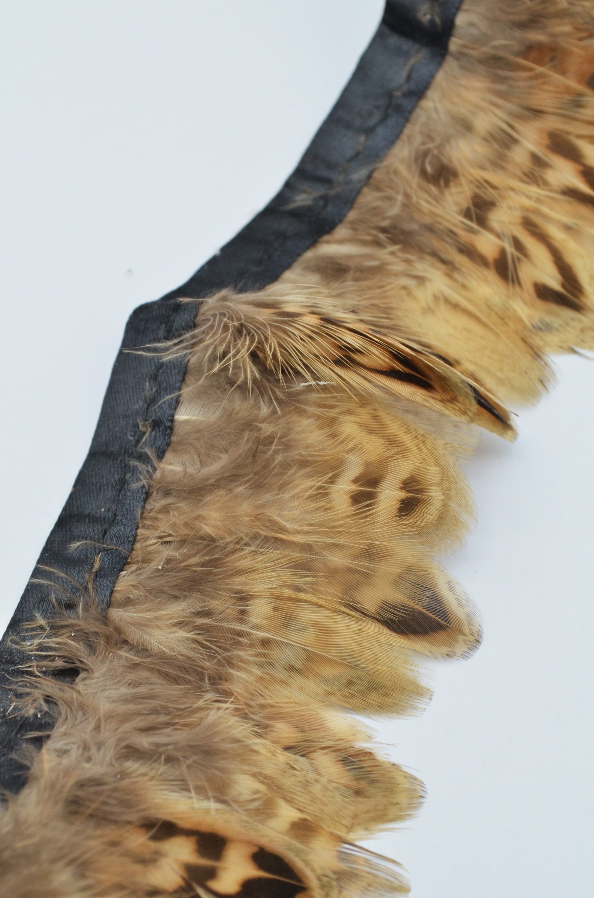 Banda Pene 6cm, 1.90m/Bucata