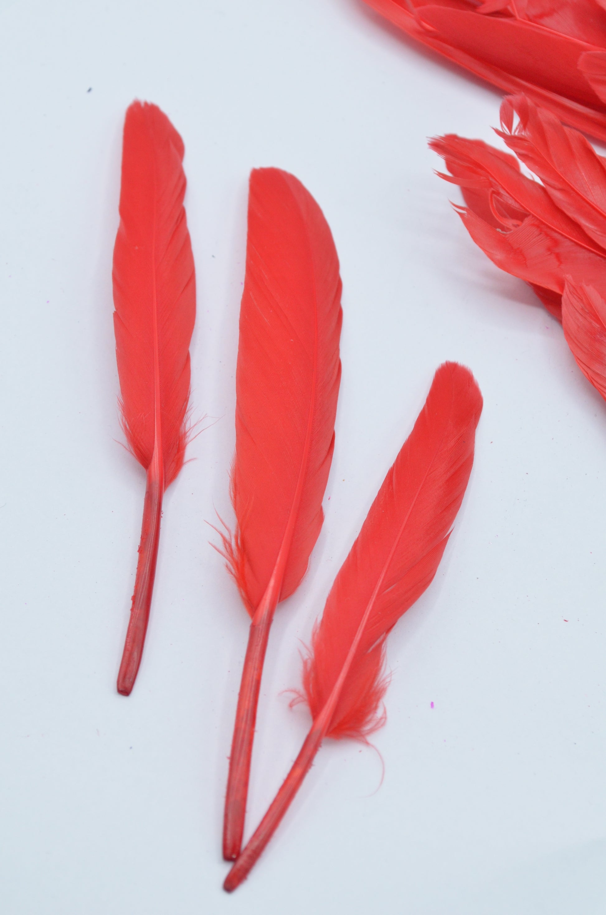 Pene Rosu, (5 Buc/Set) 11-14cm