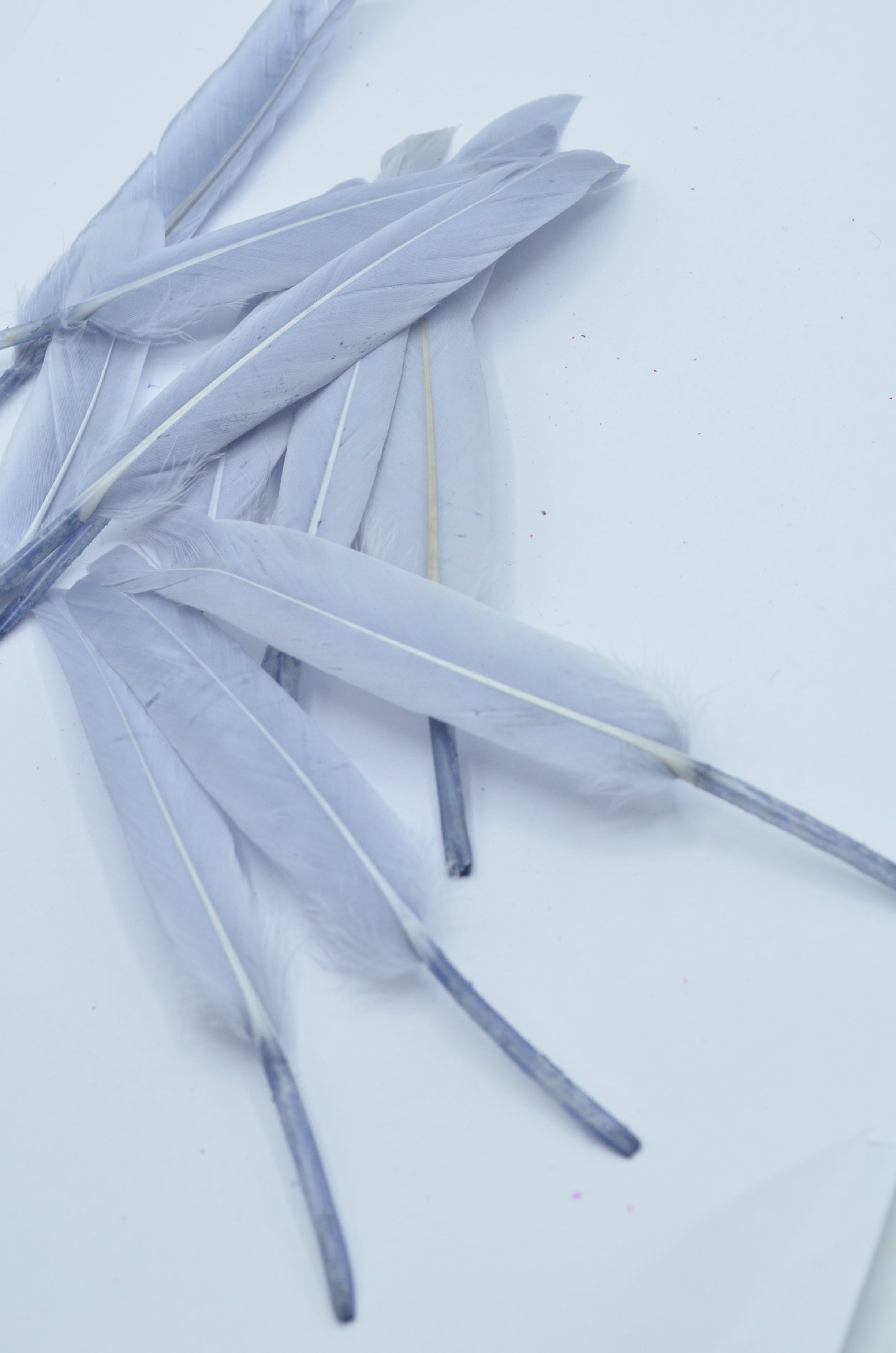 Pene Gri, (5 Buc/Set) 11-14cm