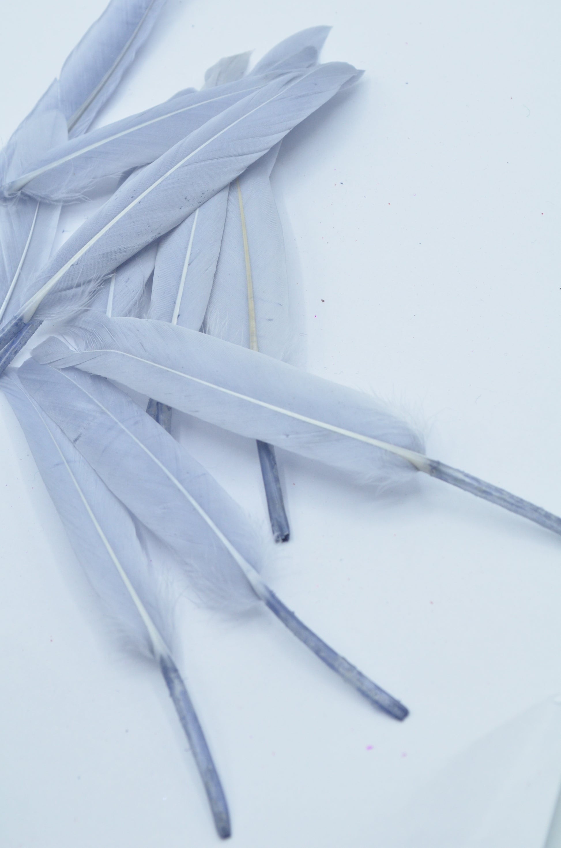 Pene Gri, (5 Buc/Set) 11-14cm