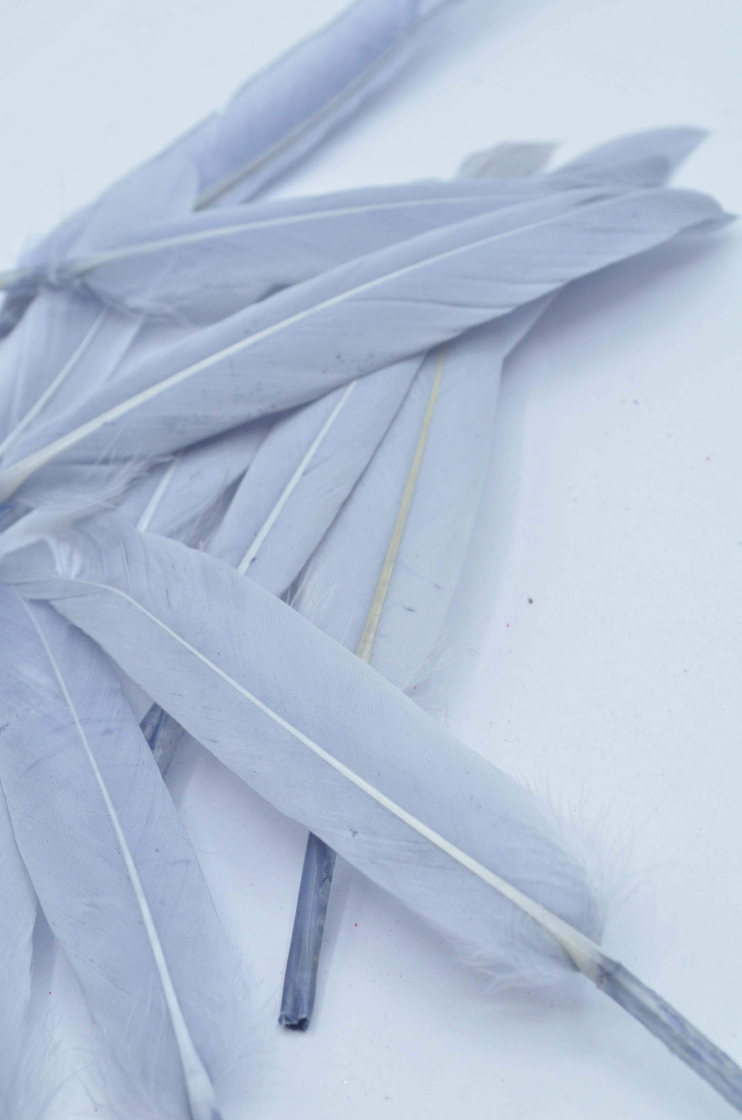 Pene Gri, (5 Buc/Set) 11-14cm
