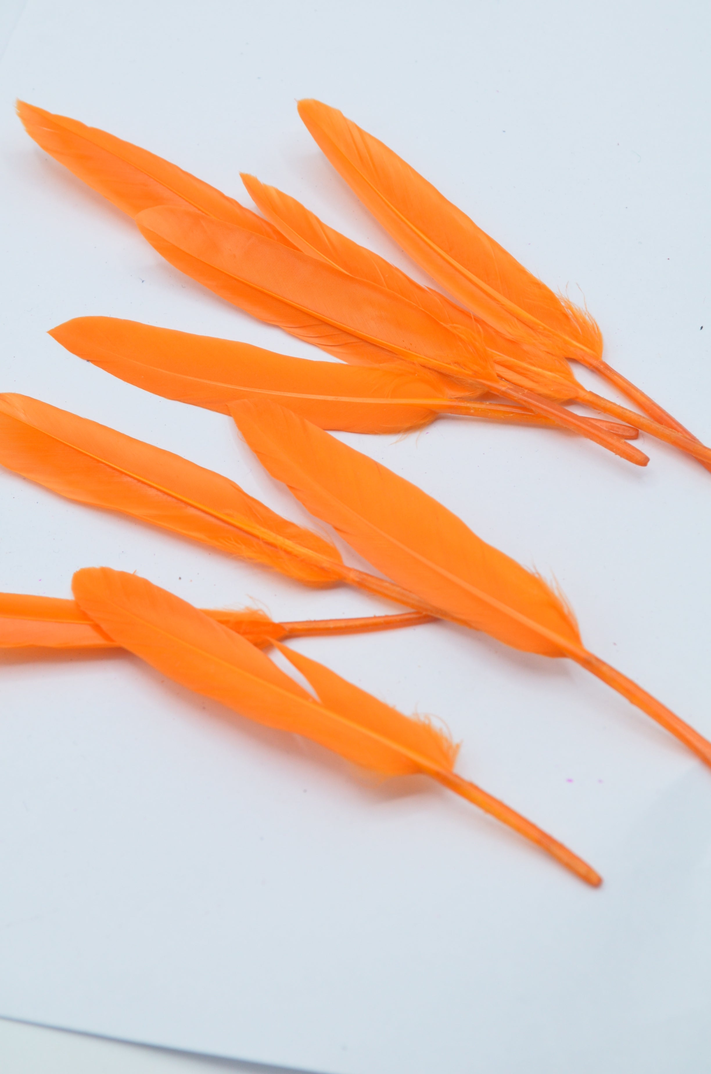 Pene Portocaliu, (5 Buc/Set) 11-14cm