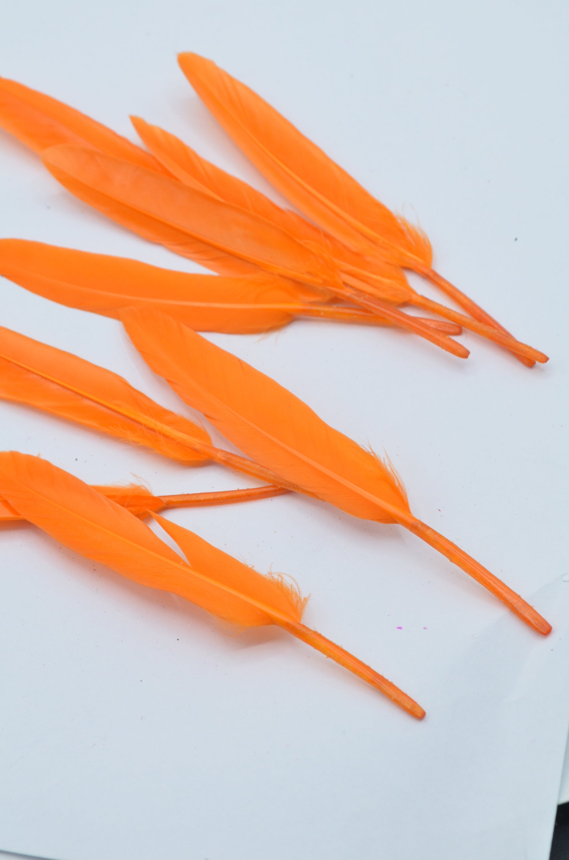 Pene Portocaliu, (5 Buc/Set) 11-14cm