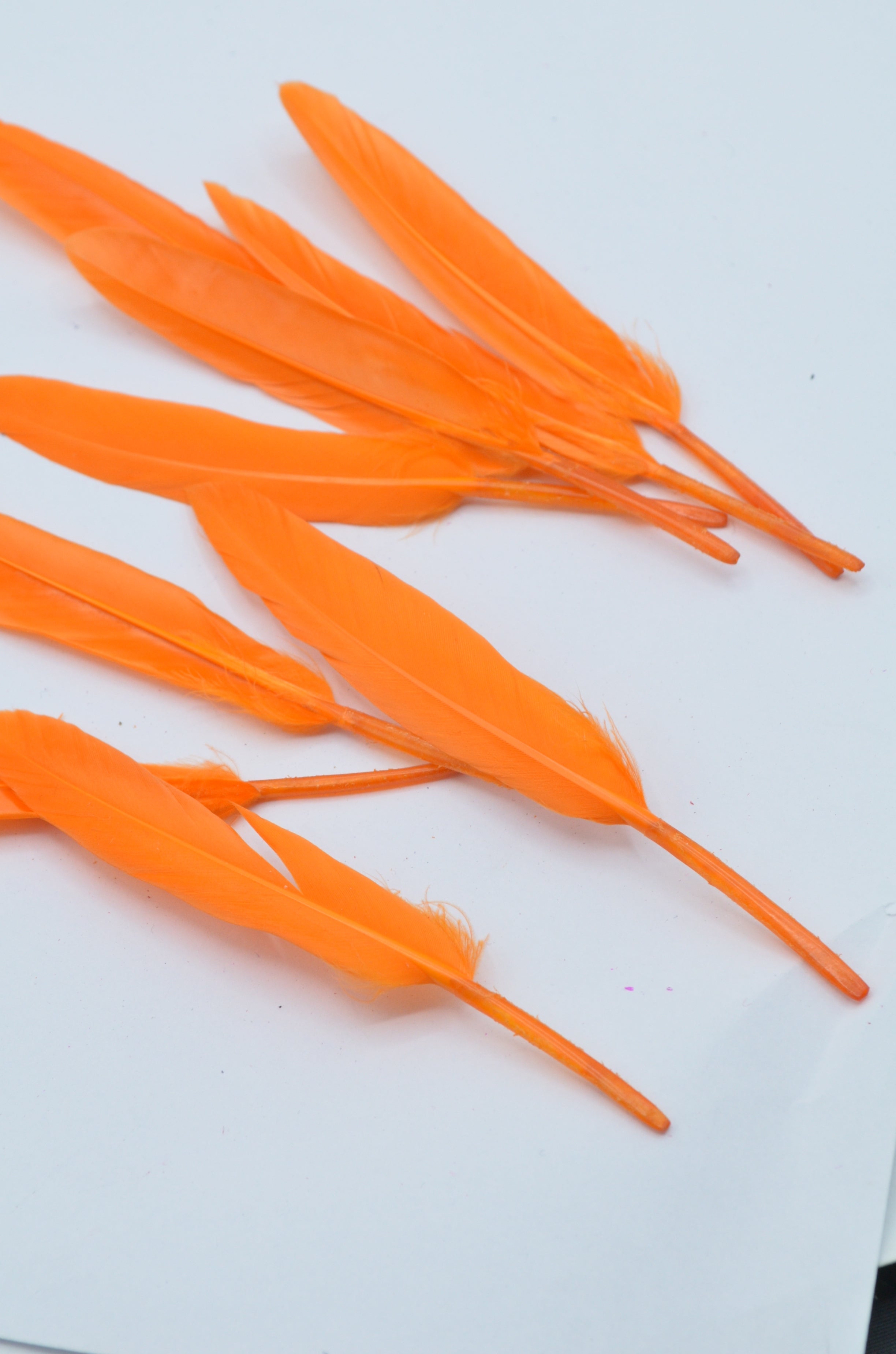 Pene Portocaliu, (5 Buc/Set) 11-14cm