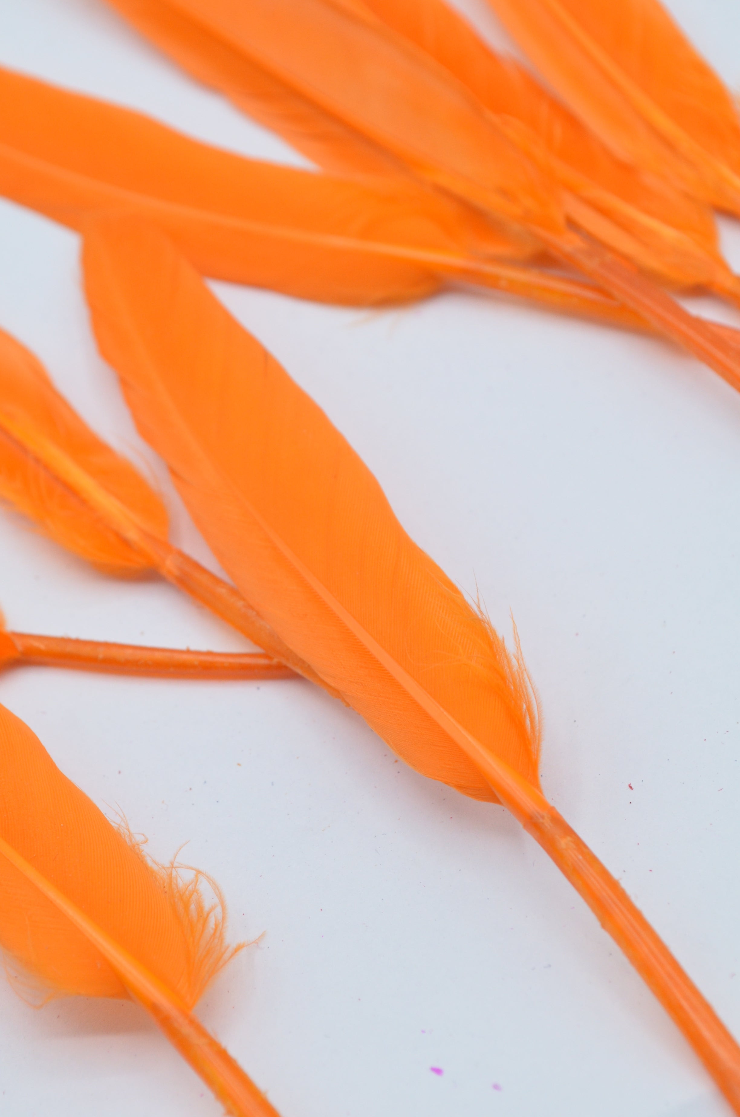 Pene Portocaliu, (5 Buc/Set) 11-14cm