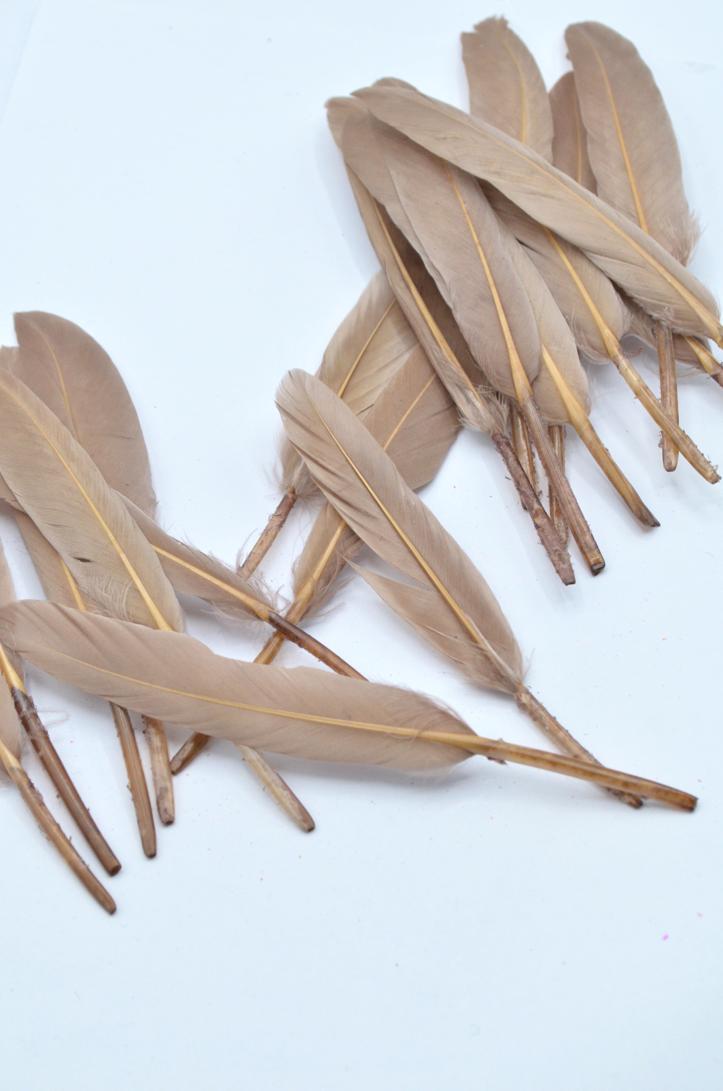 Pene Bej, (5 Buc/Set) 11-14cm