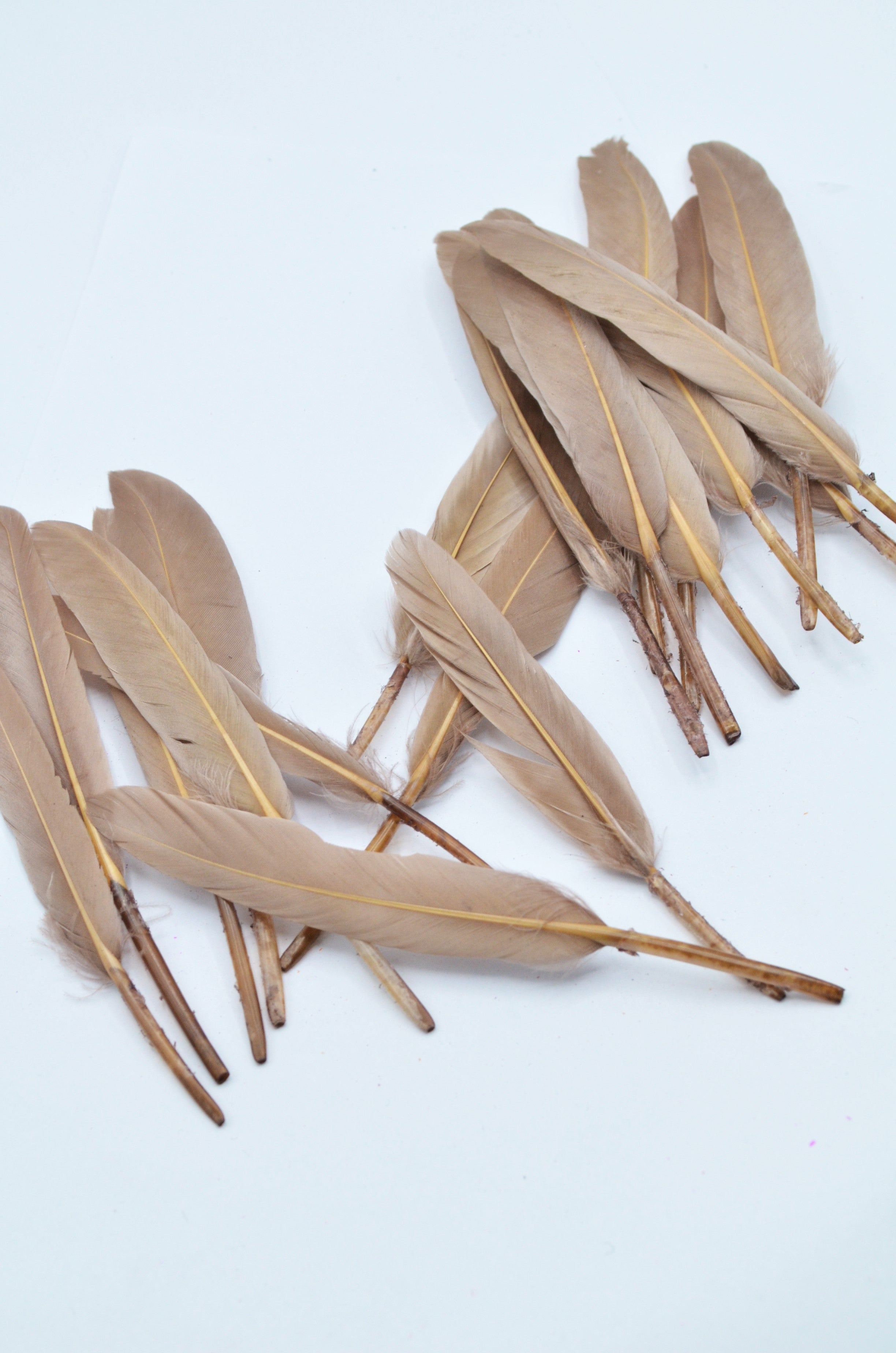 Pene Bej, (5 Buc/Set) 11-14cm