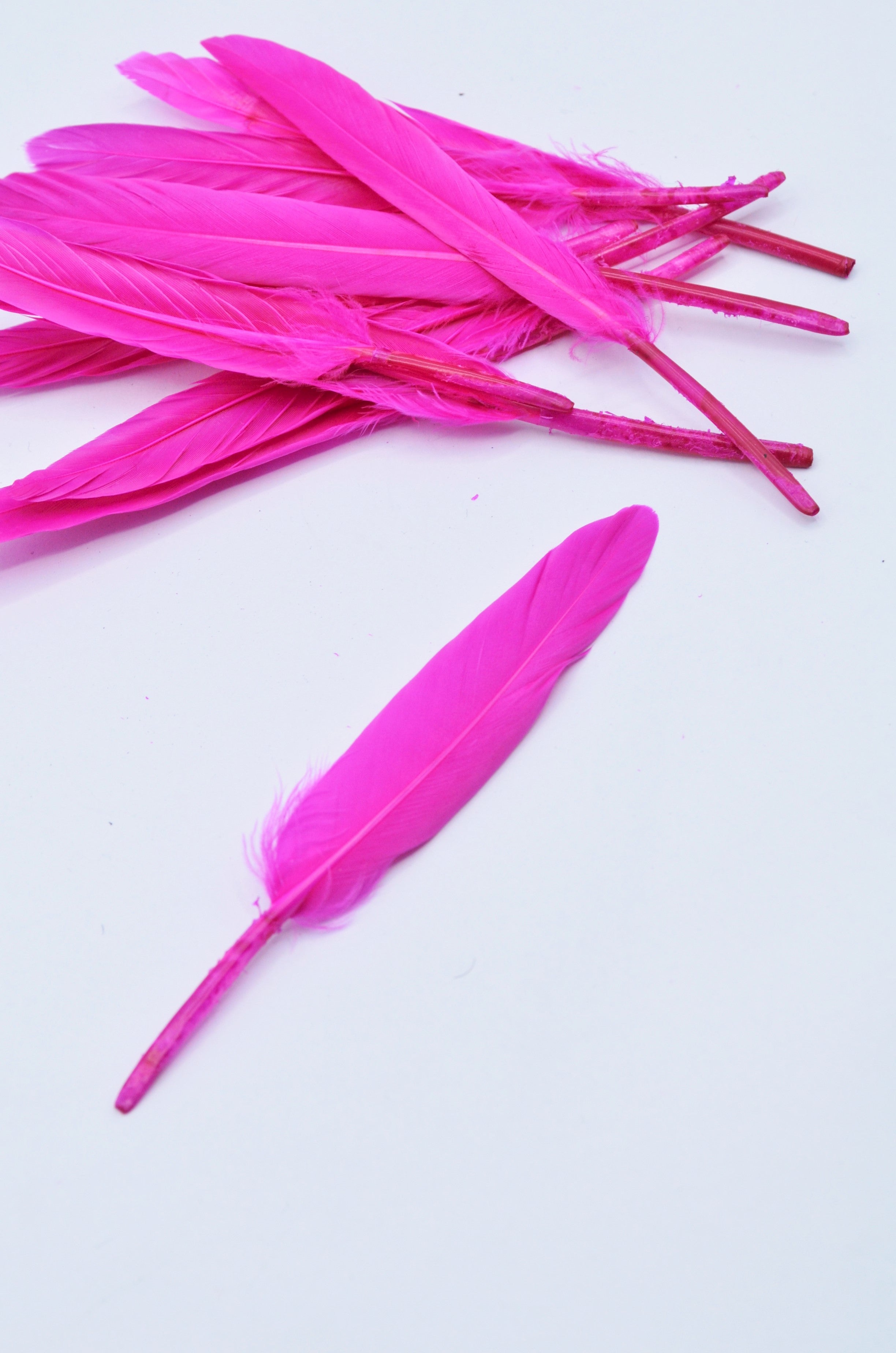 Pene Fucsia, (5 Buc/Set) 11-14cm