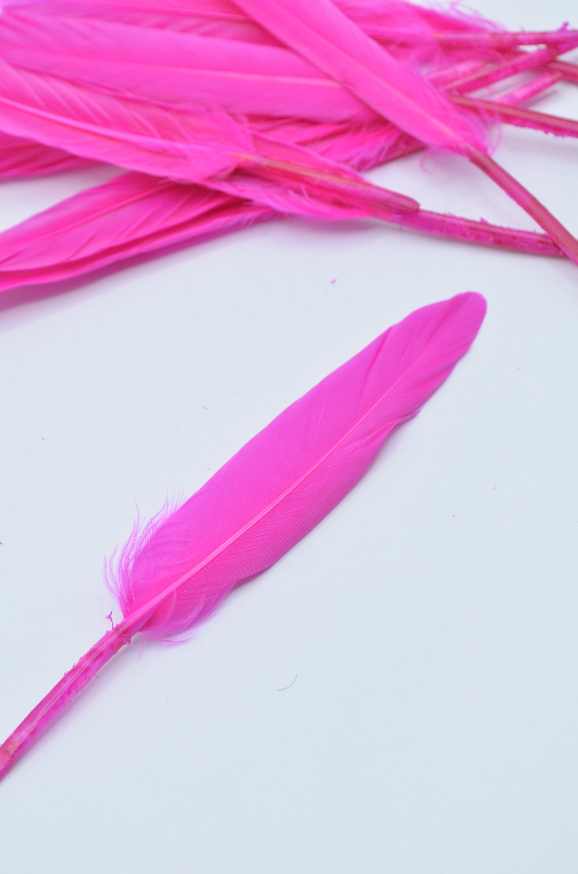 Pene Fucsia, (5 Buc/Set) 11-14cm