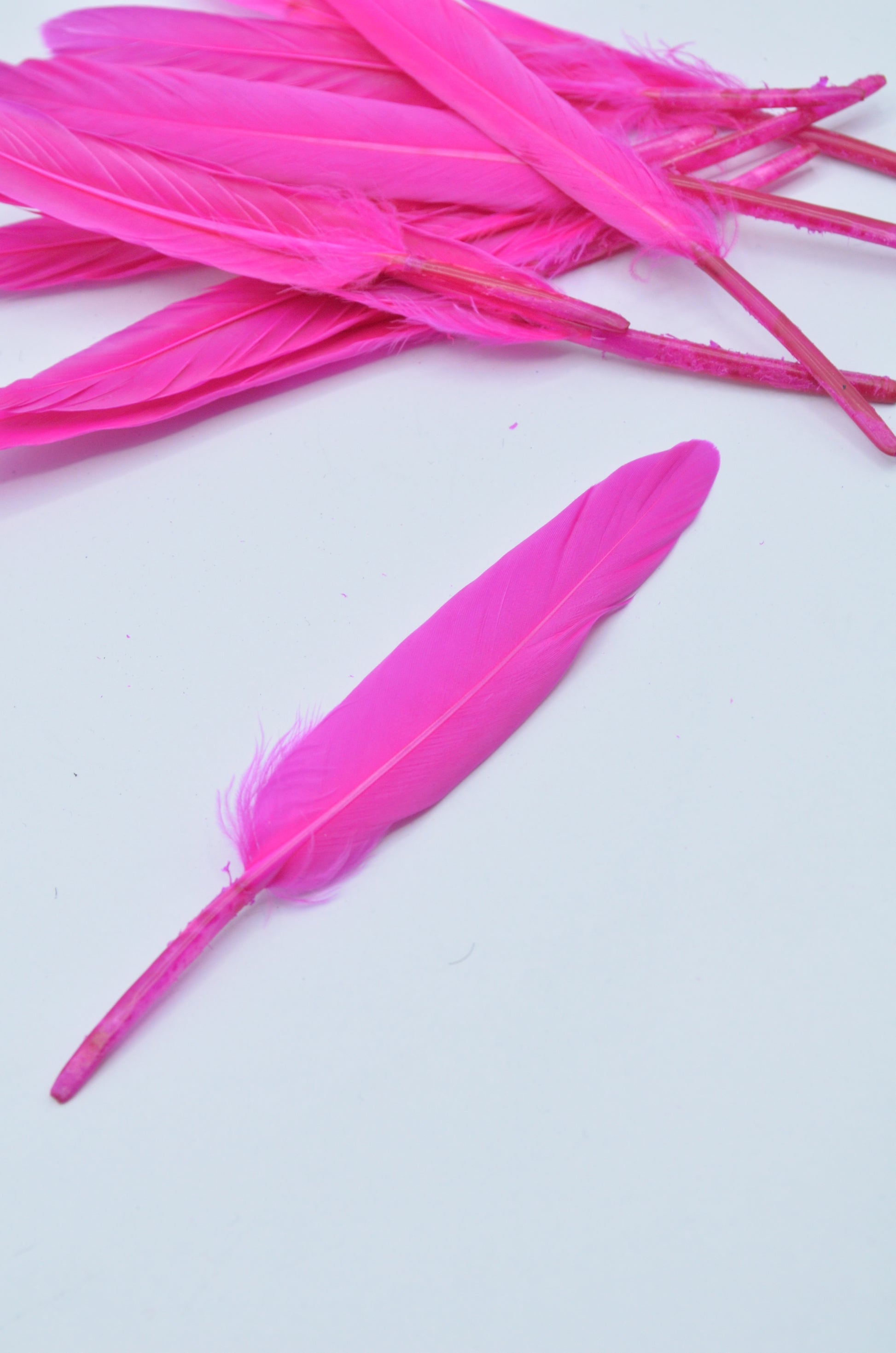 Pene Fucsia, (5 Buc/Set) 11-14cm