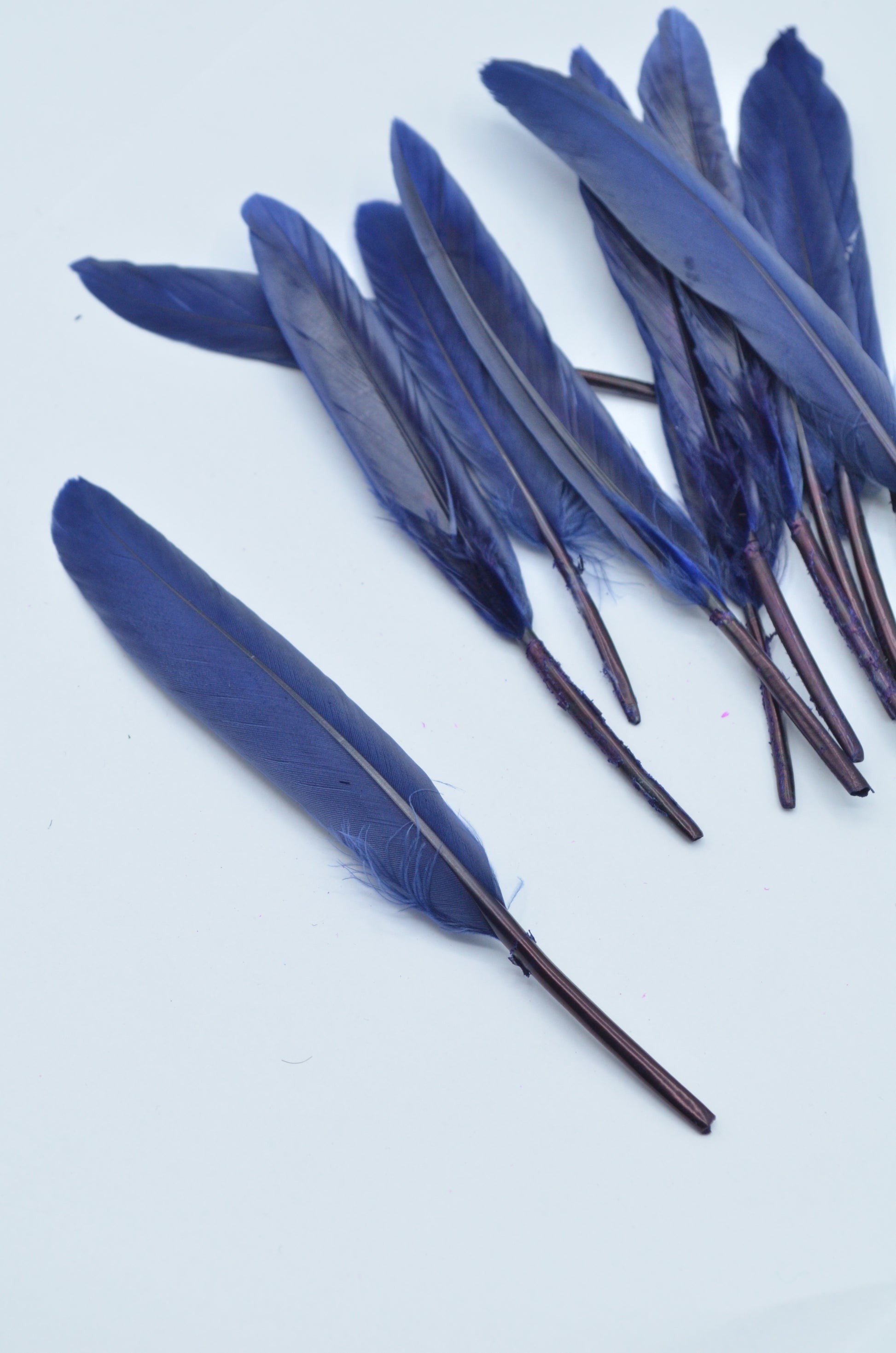 Pene Bleumarin, (5 Buc/Set) 11-14cm