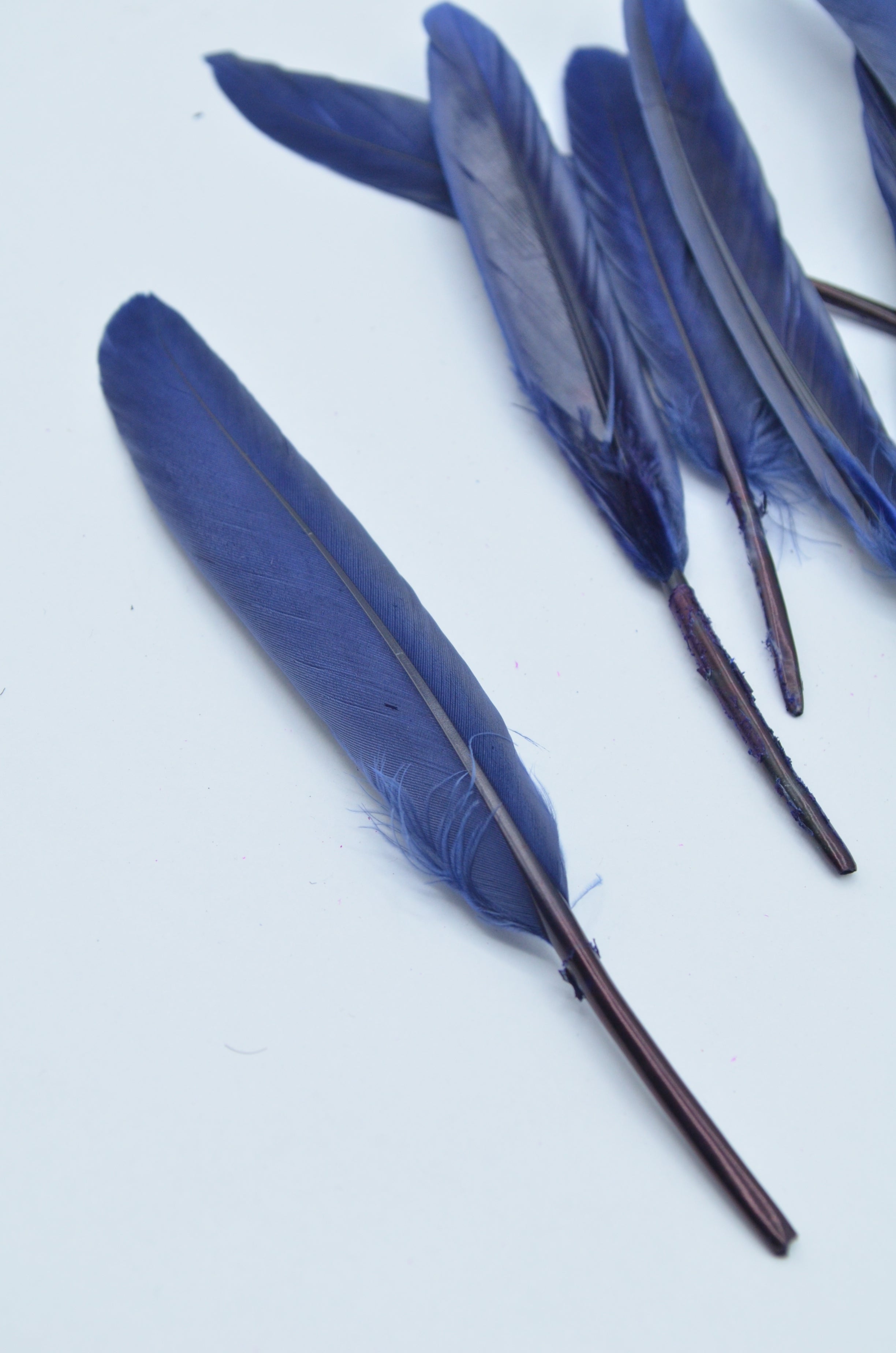 Pene Bleumarin, (5 Buc/Set) 11-14cm