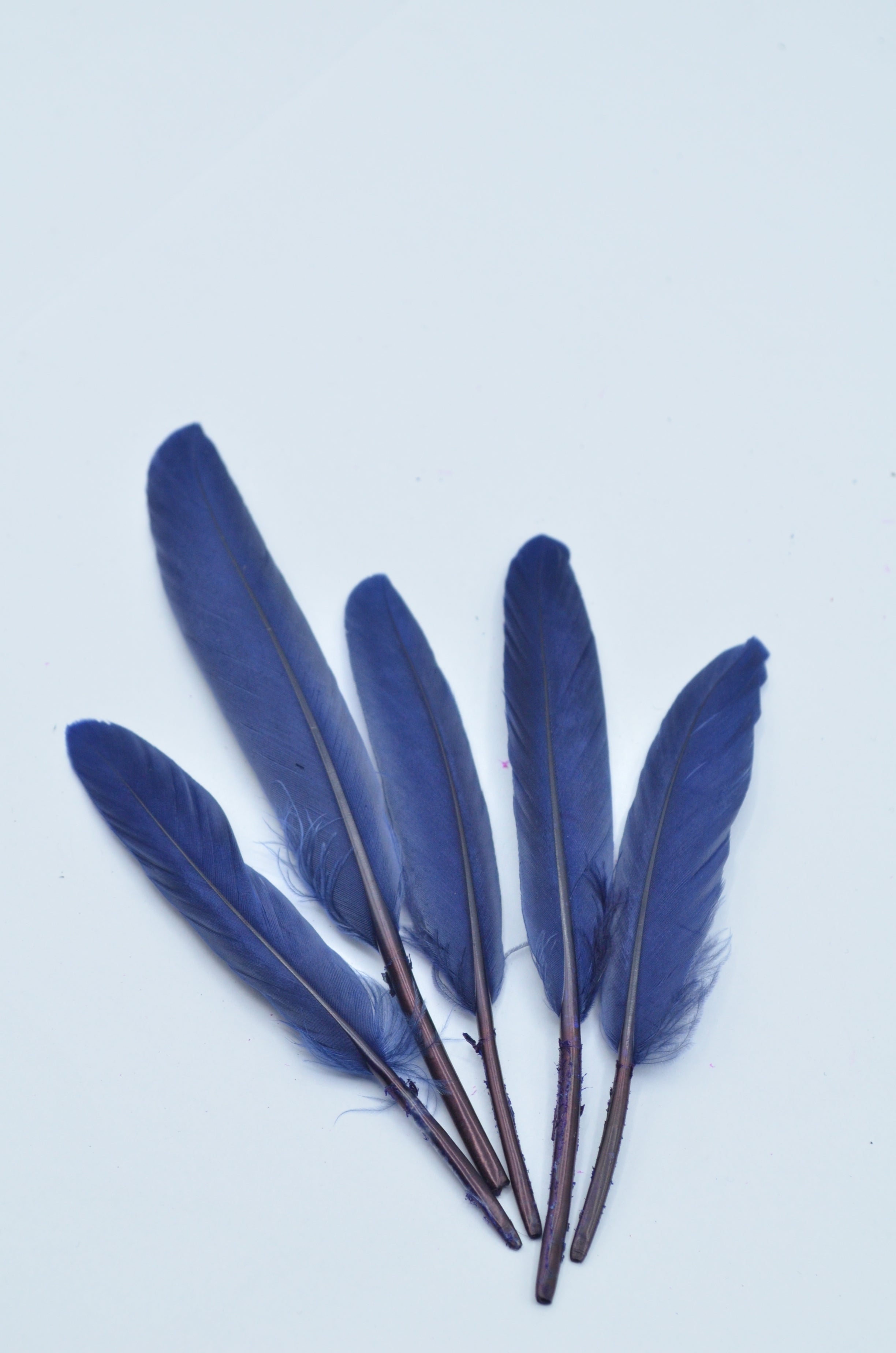 Pene Bleumarin, (5 Buc/Set) 11-14cm