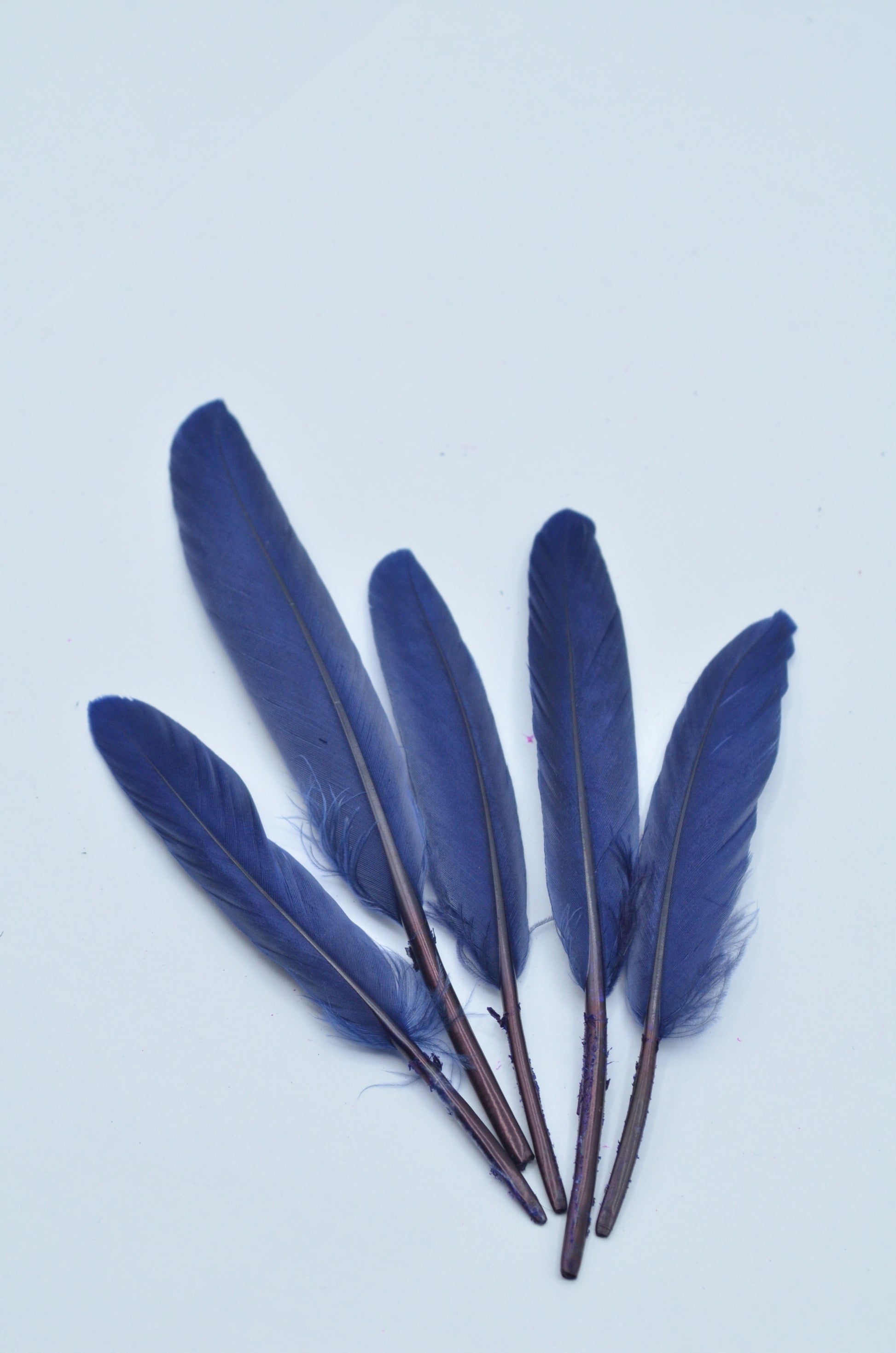 Pene Bleumarin, (5 Buc/Set) 11-14cm