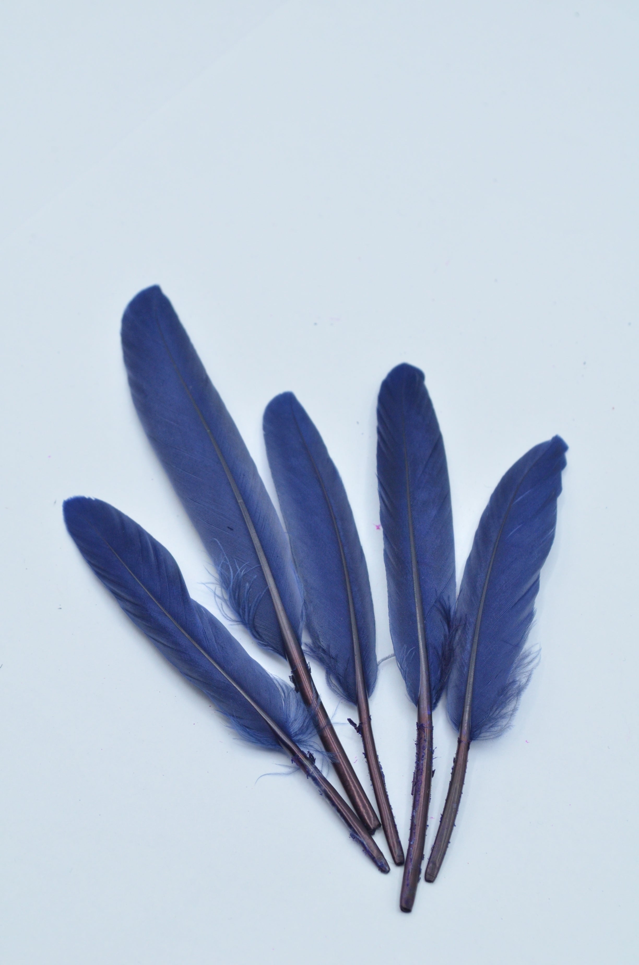 Pene Bleumarin, (5 Buc/Set) 11-14cm