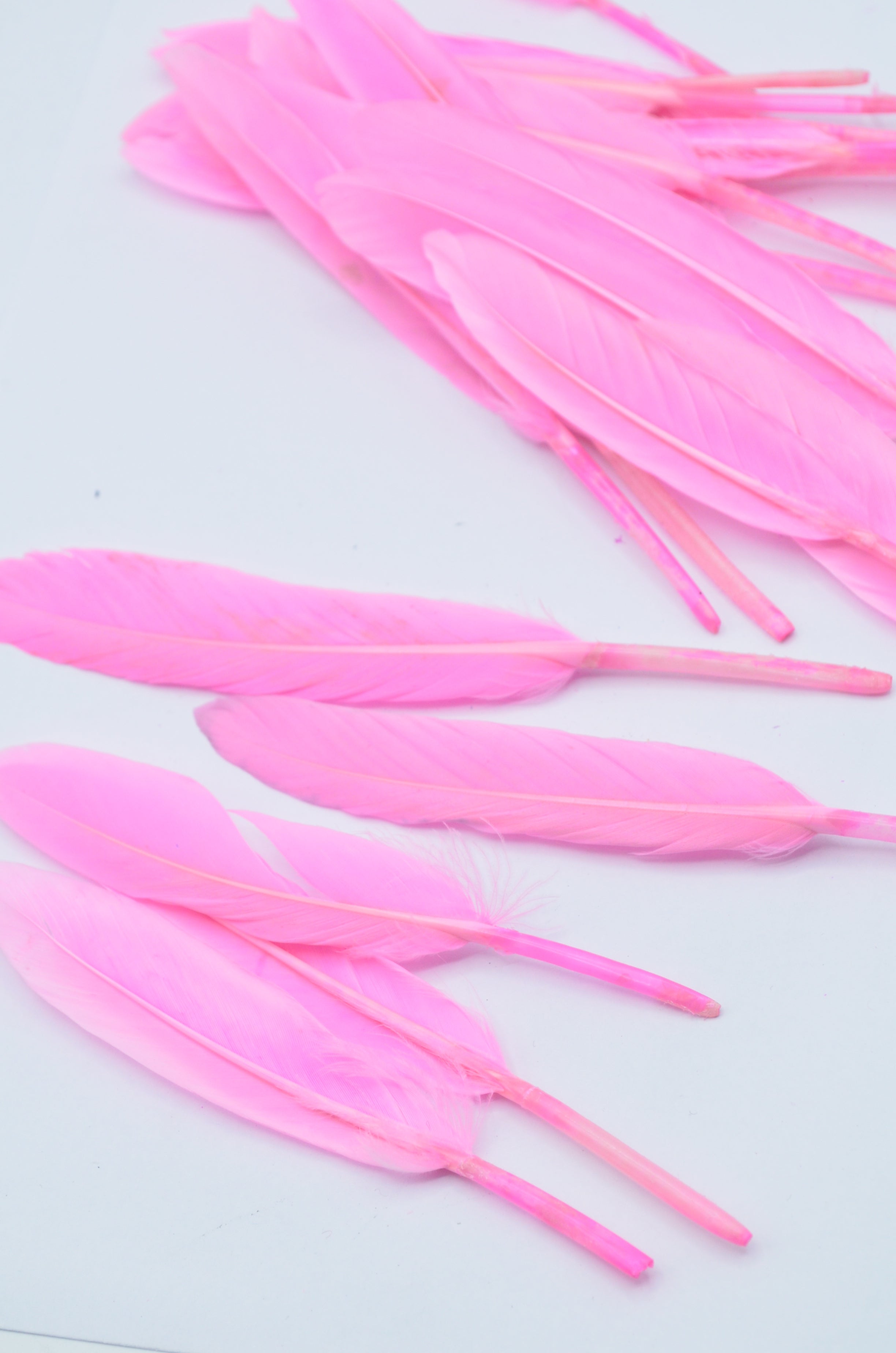 Pene Roz, (5 Buc/Set) 11-14cm