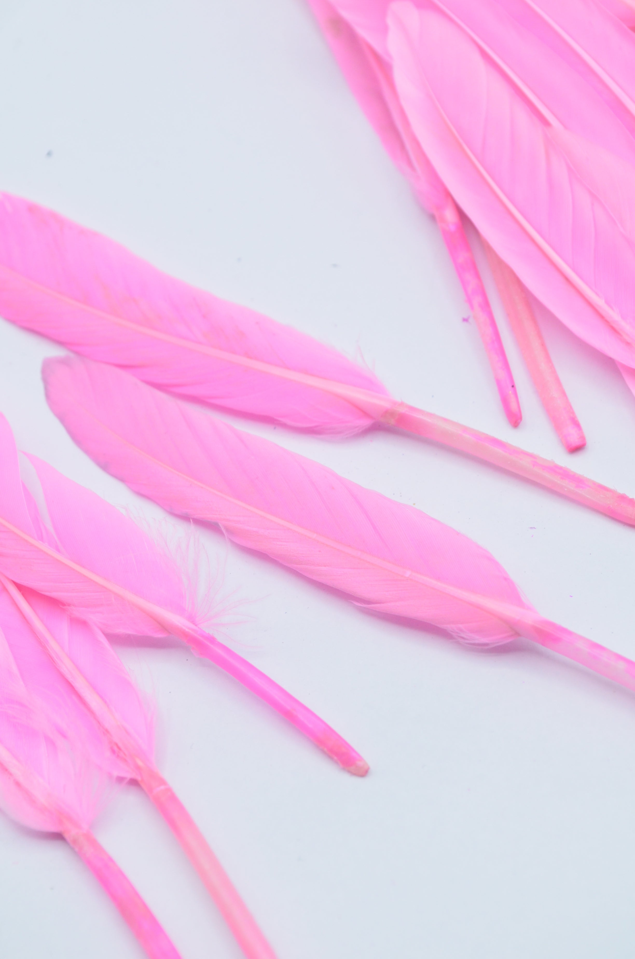 Pene Roz, (5 Buc/Set) 11-14cm