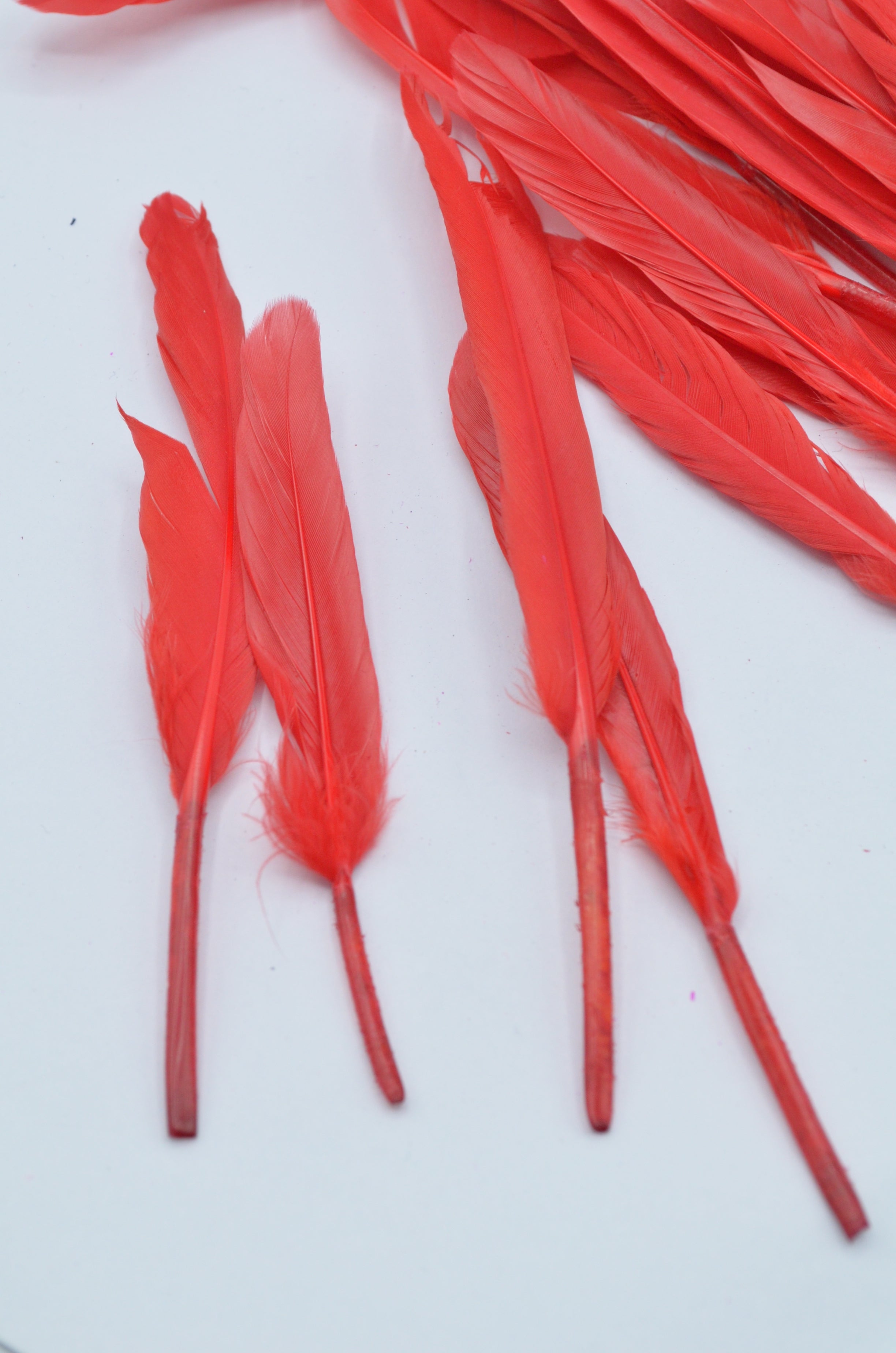 Pene Rosu, (5 Buc/Set) 11-14cm