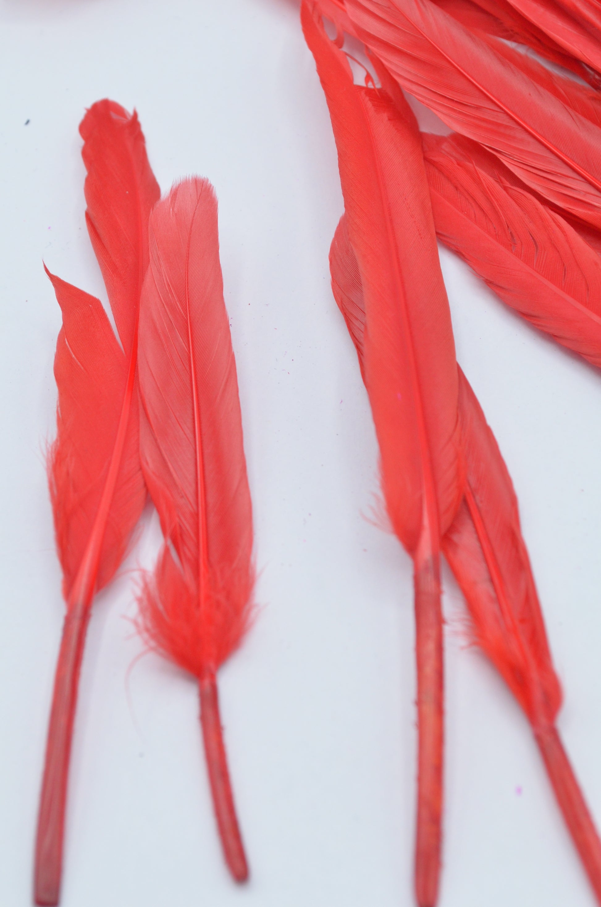 Pene Rosu, (5 Buc/Set) 11-14cm