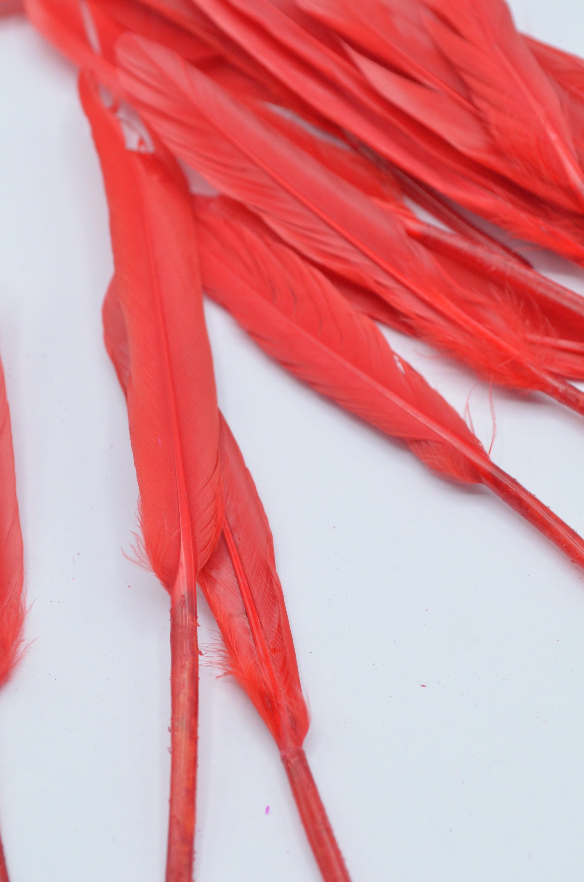 Pene Rosu, (5 Buc/Set) 11-14cm