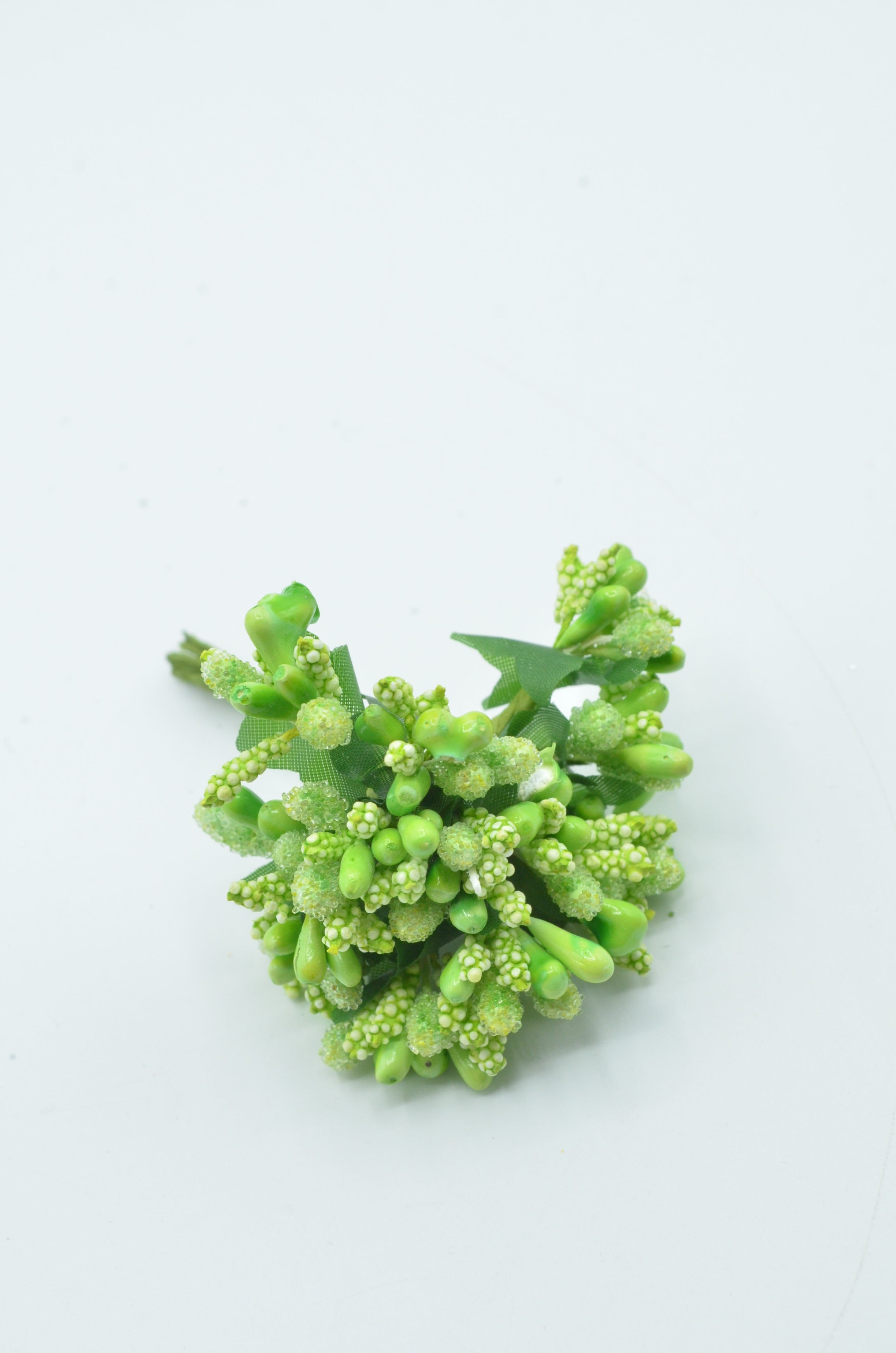 Stamina Cu Bobite mari (12 fire/Buchet) Verde