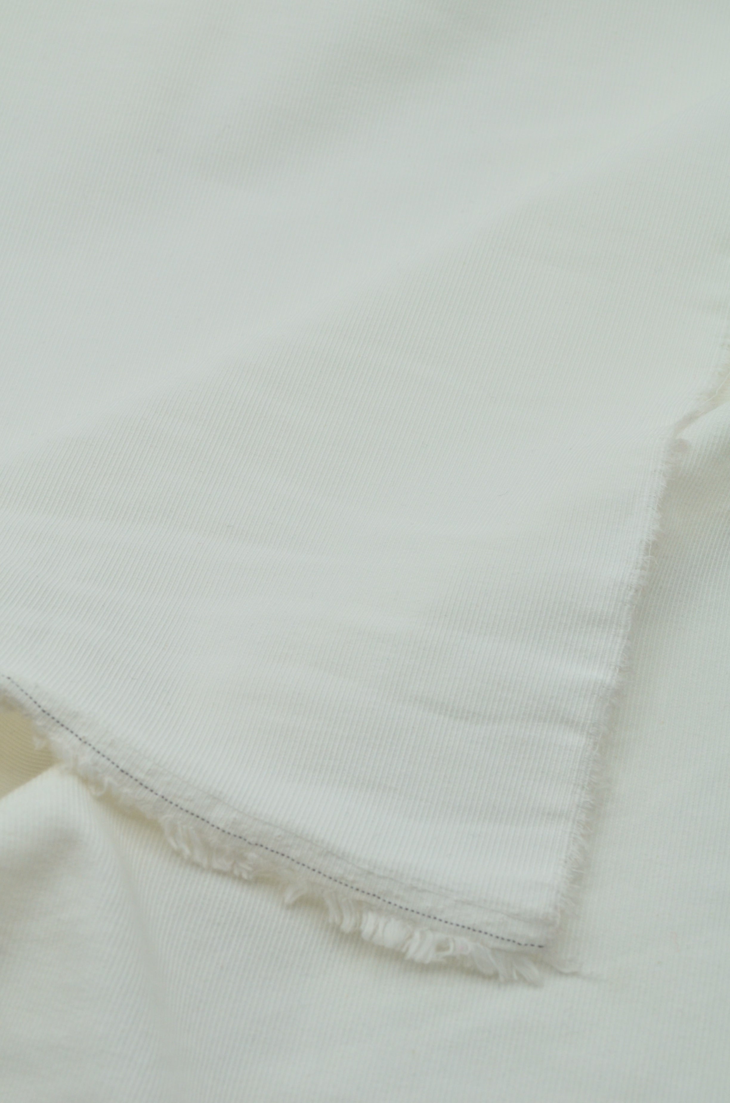 Tercot Ripsat Elastic Ivoire
