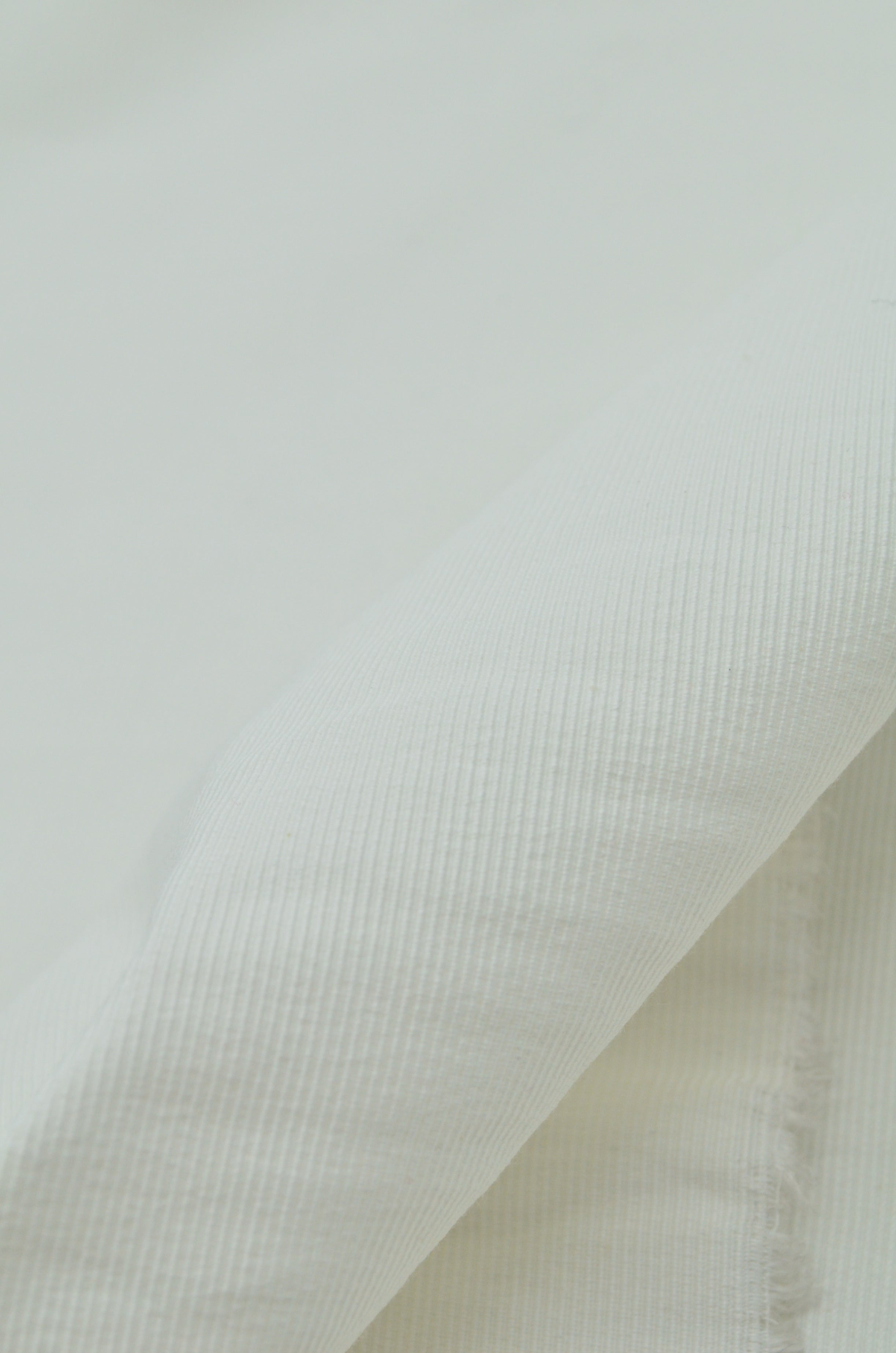 Tercot Ripsat Elastic Ivoire