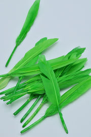 Pene Portocaliu, (5 Buc/Set) 11-14cm