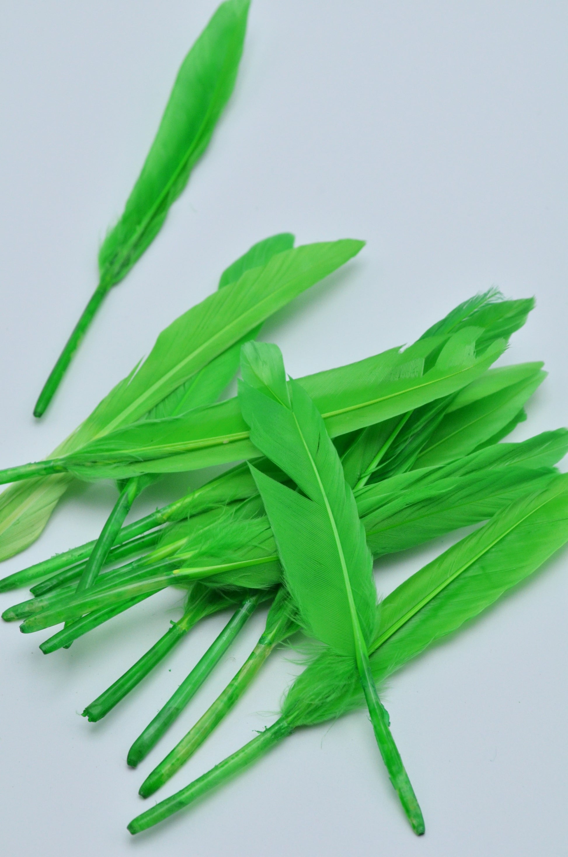Pene Portocaliu, (5 Buc/Set) 11-14cm