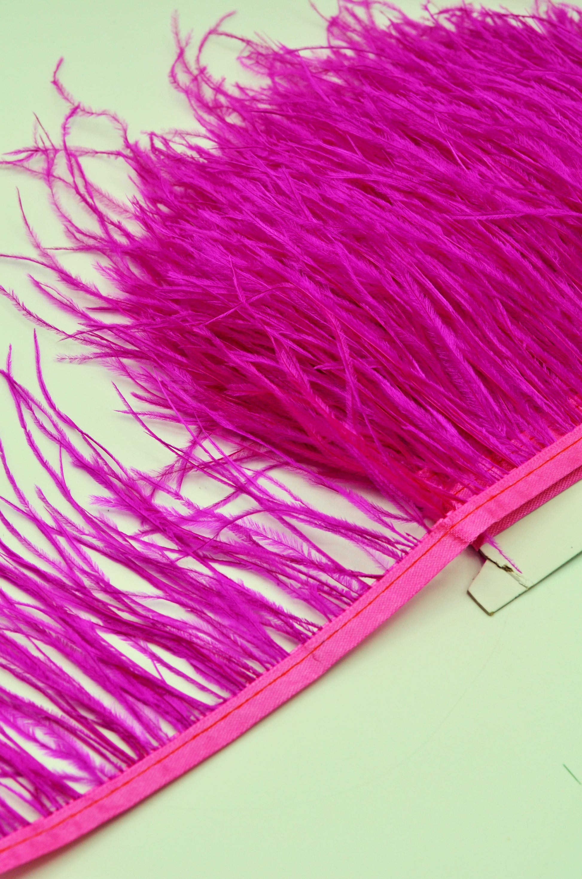 Pene De Strut, Fucsia