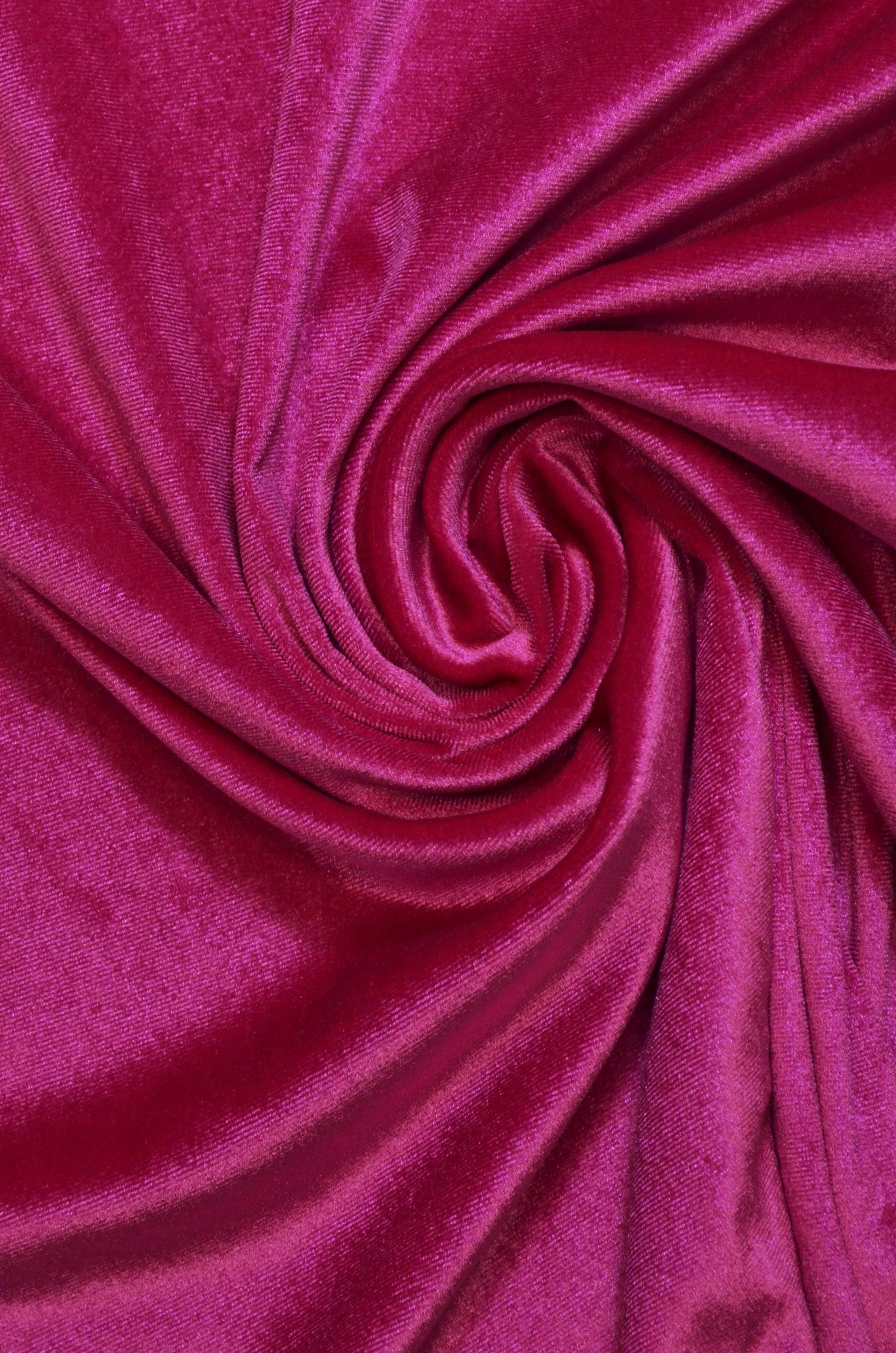 Catifea Elastica, Siclam