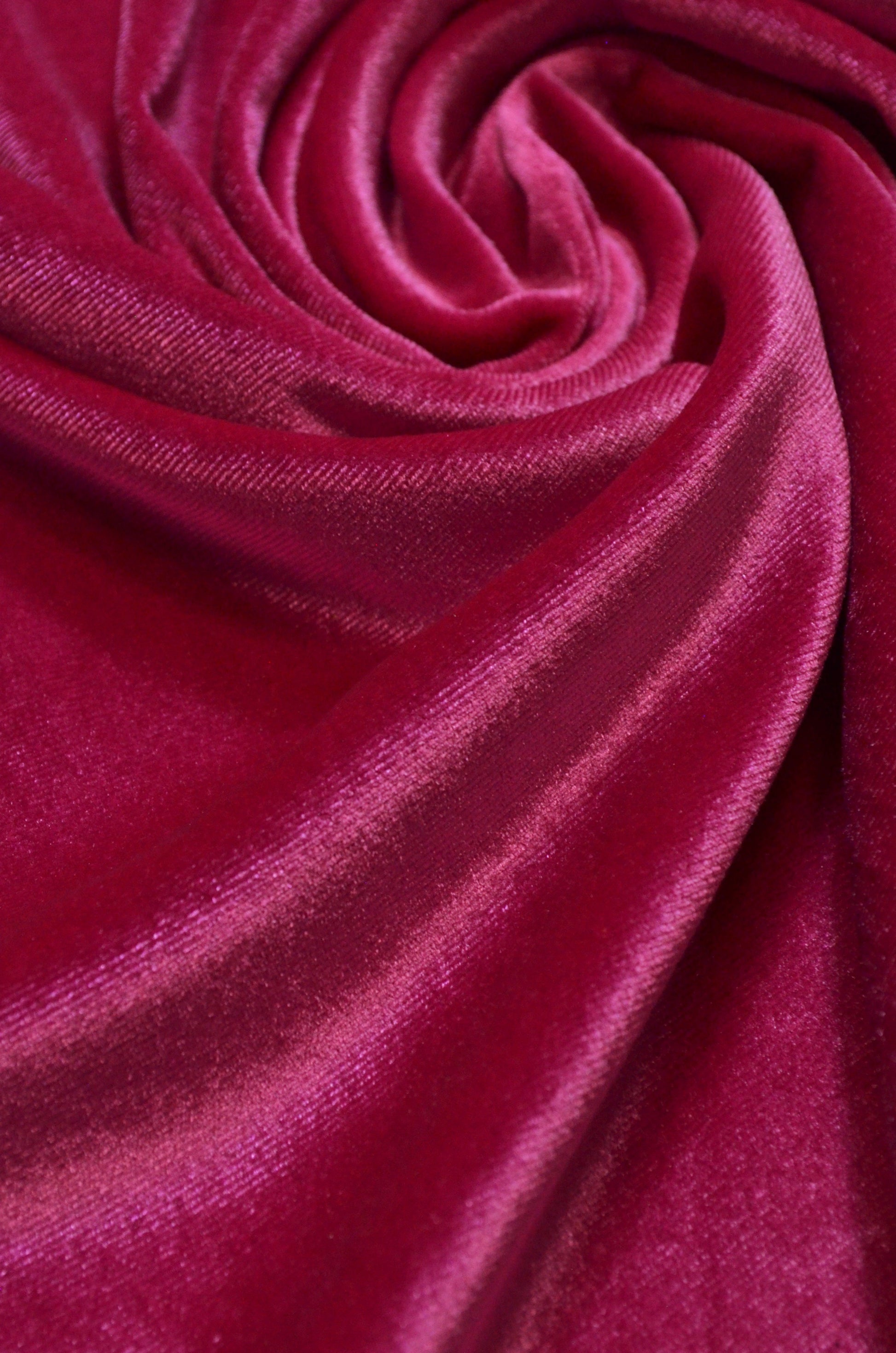 Catifea Elastica, Siclam