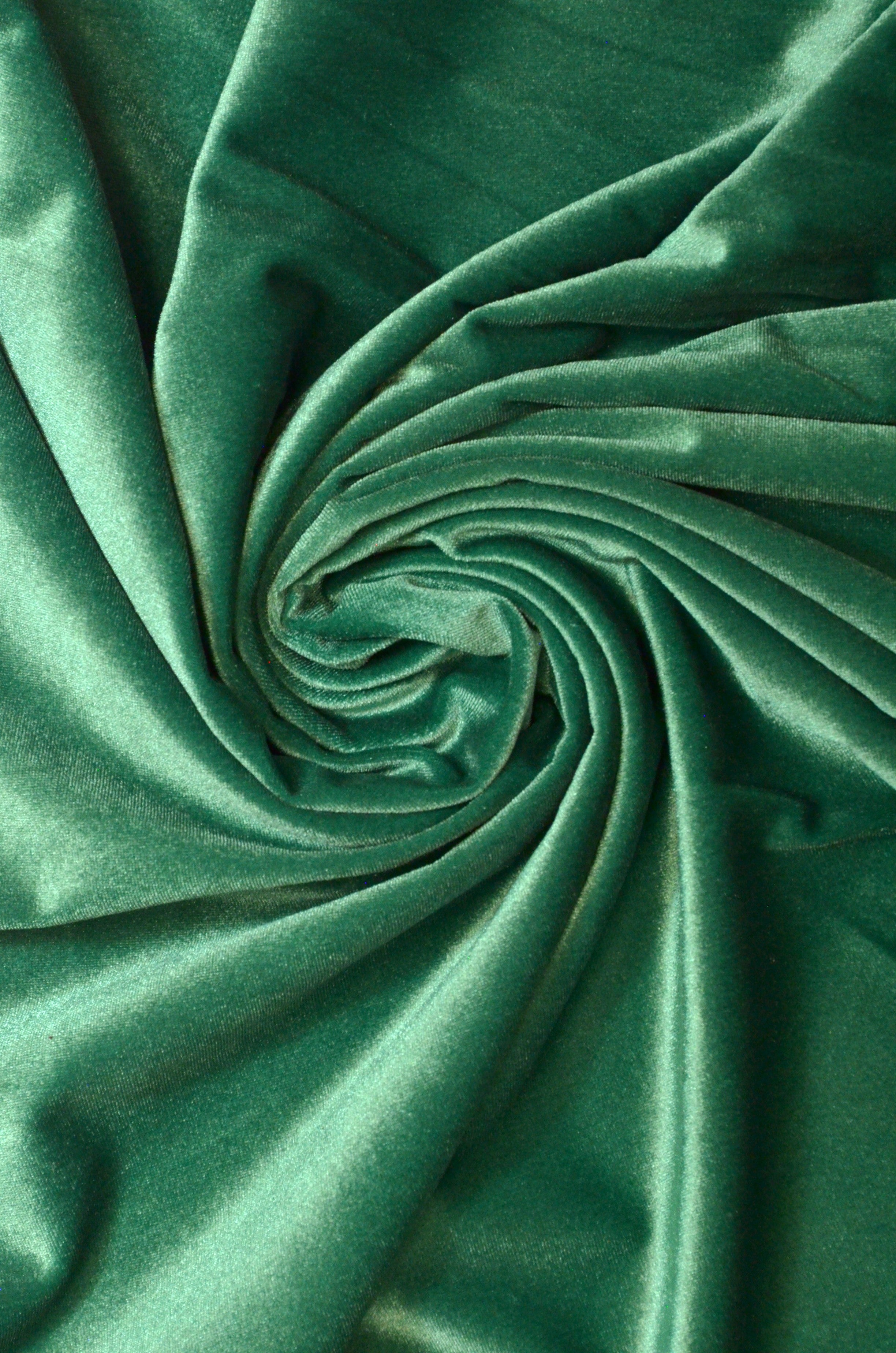 Catifea Elastica Verde
