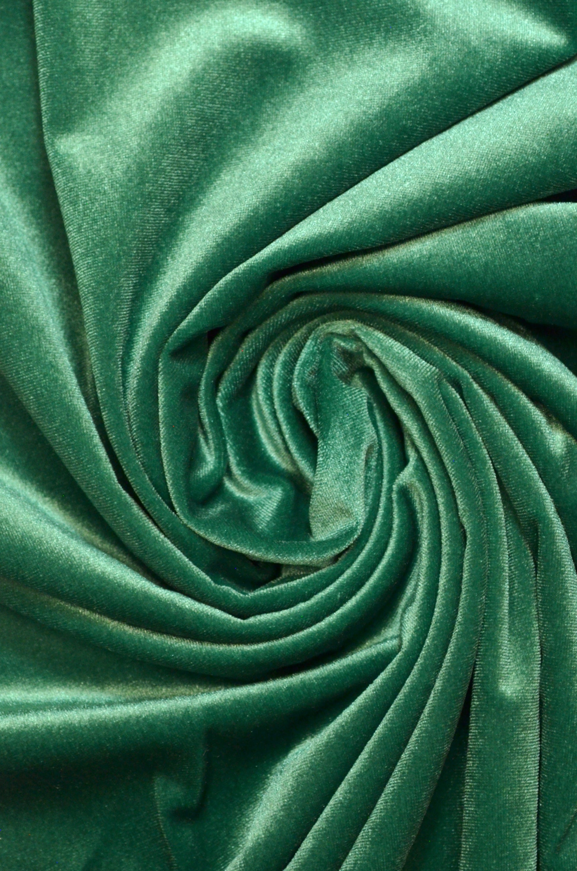 Catifea Elastica Verde