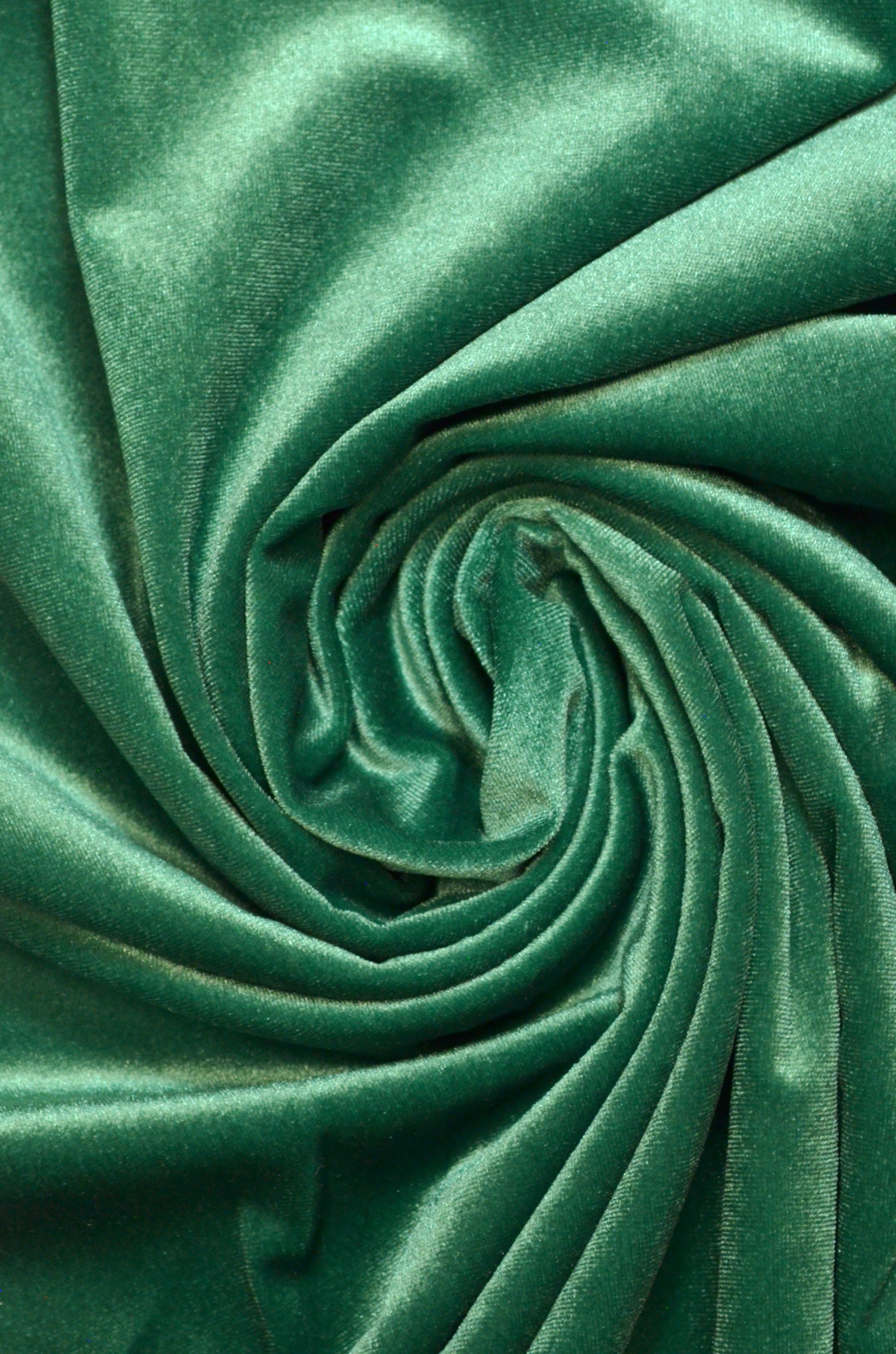 Catifea Elastica Verde
