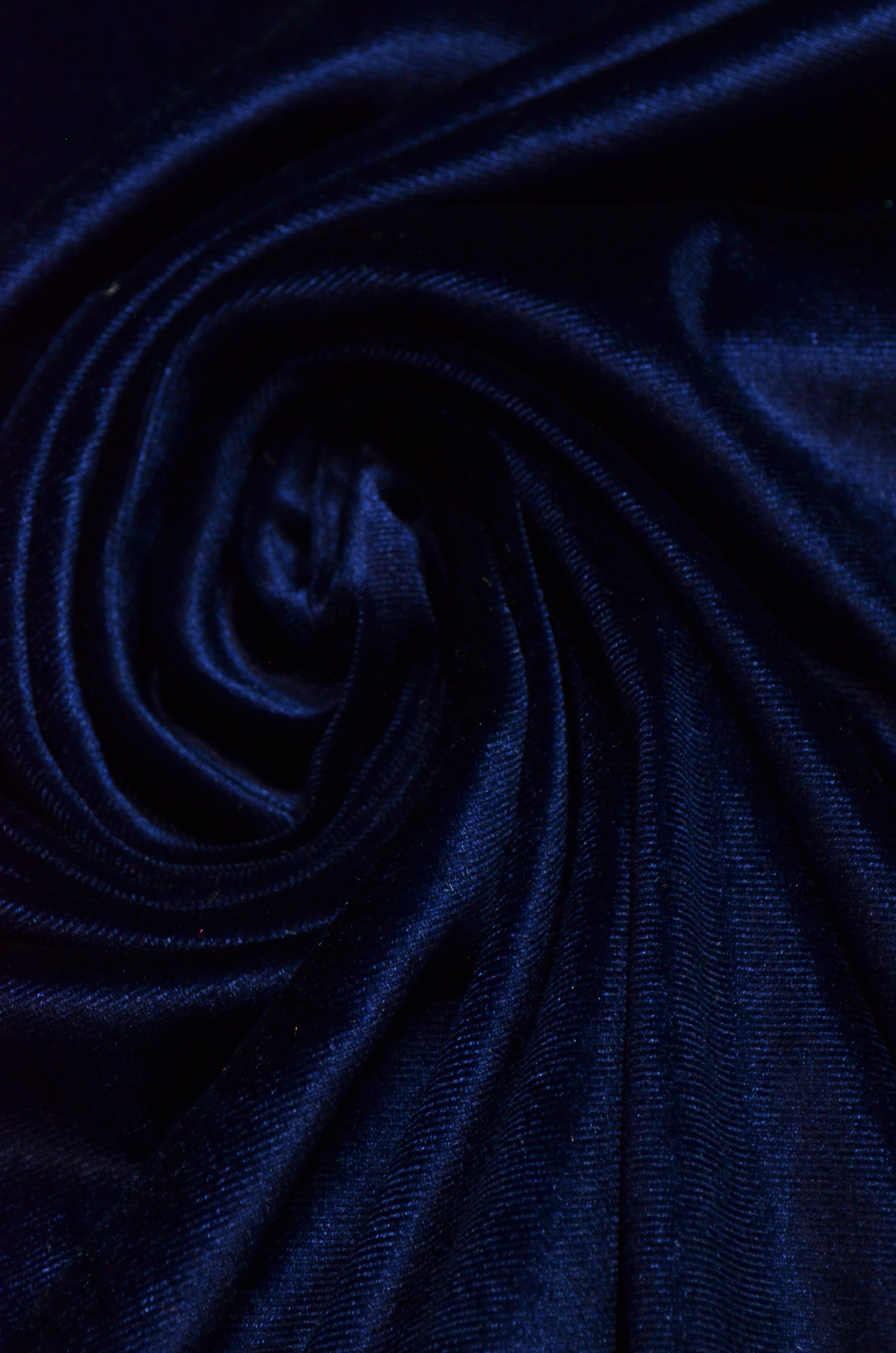 Catifea Elastica, Bleumarin