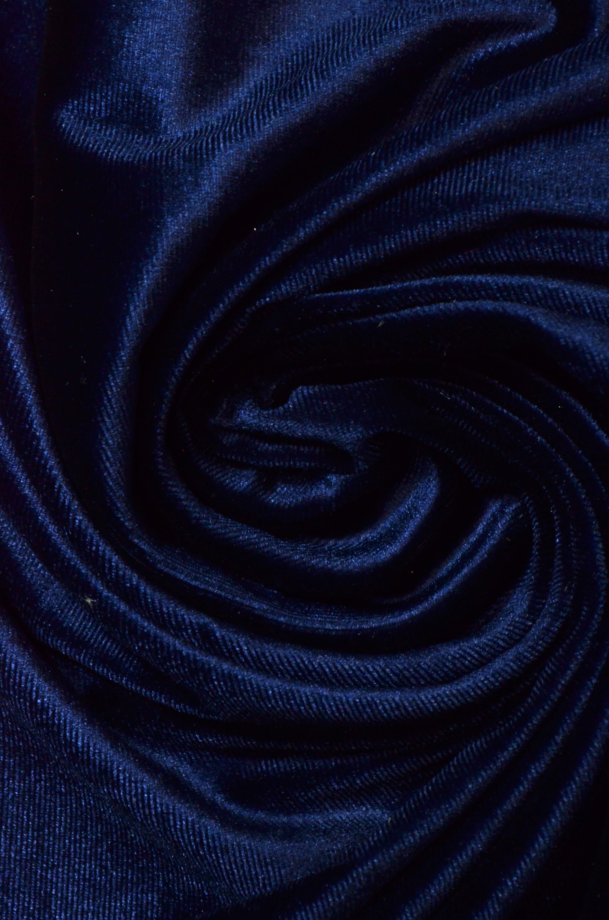 Catifea Elastica, Bleumarin