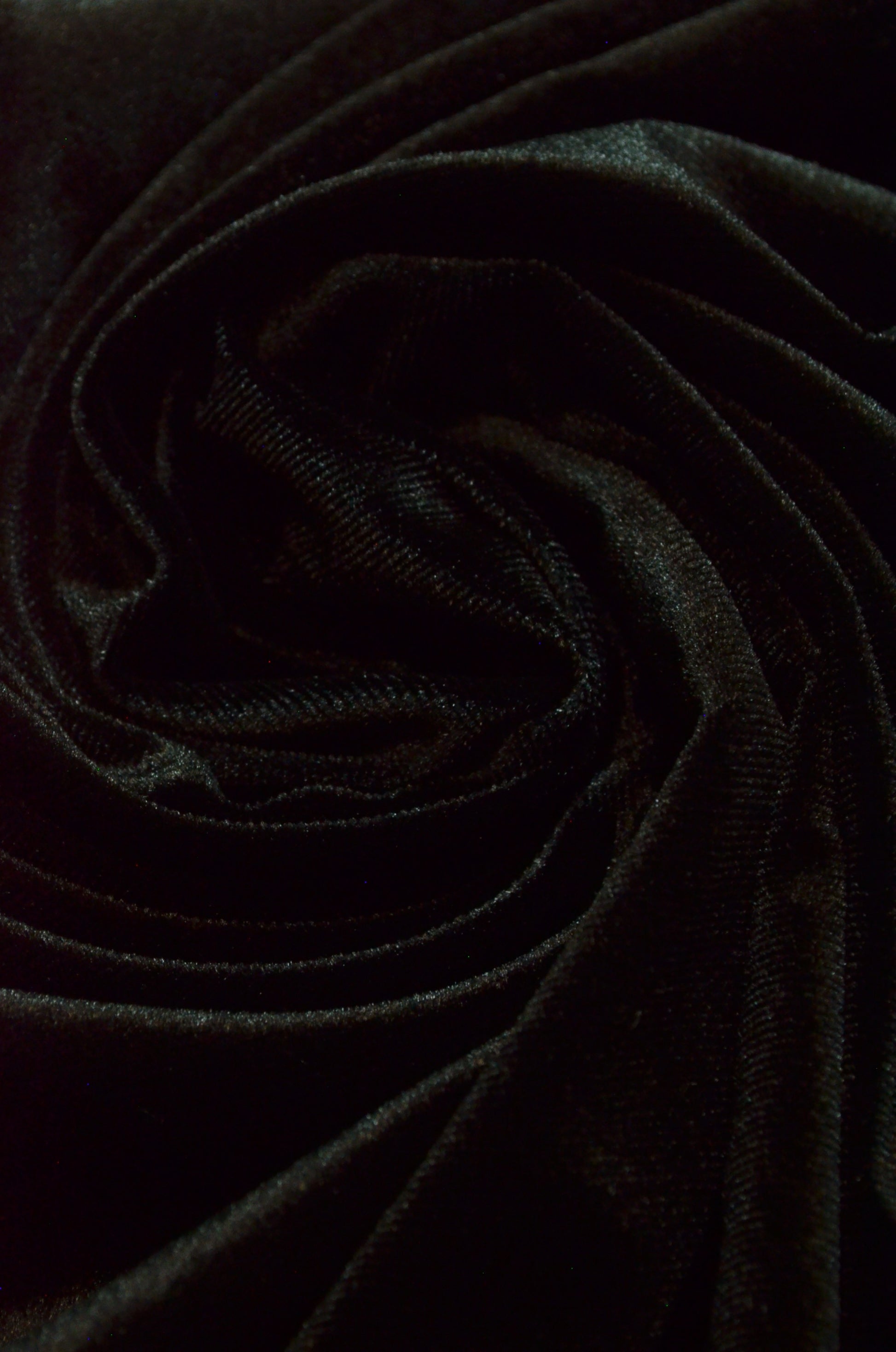 Catifea Elastica, Negru