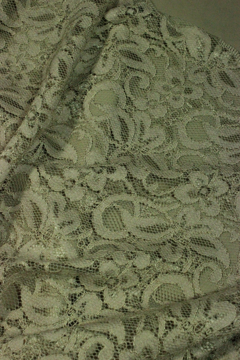Dantela Elastica Bej