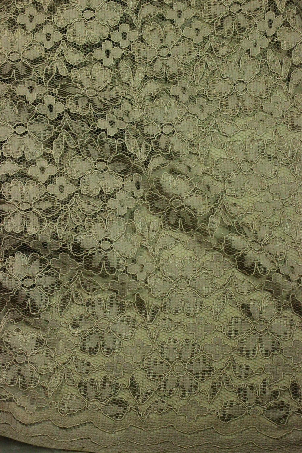 Dantela Usor Elastica Bej