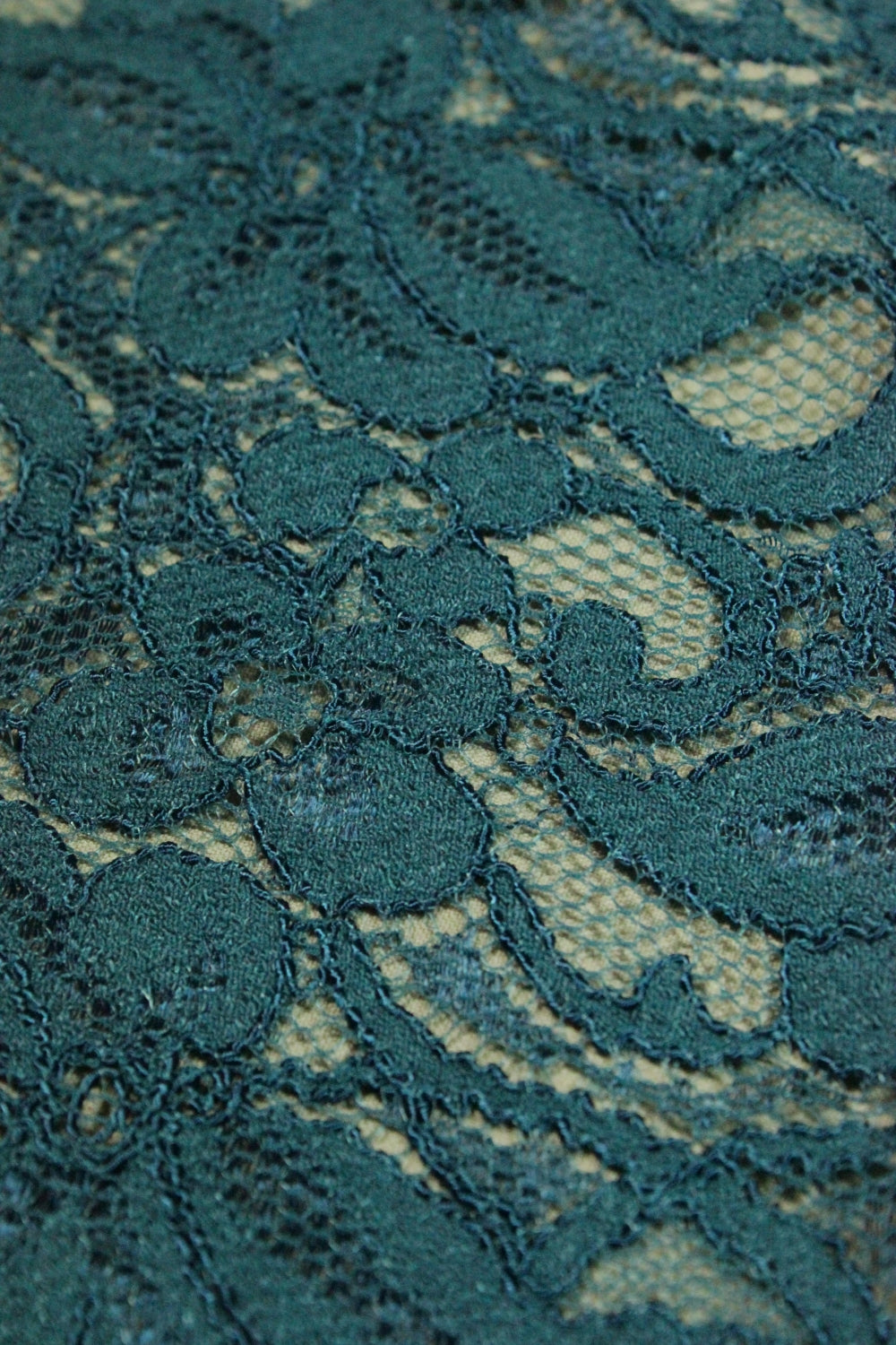 Dantela Elastica, Turcoaz