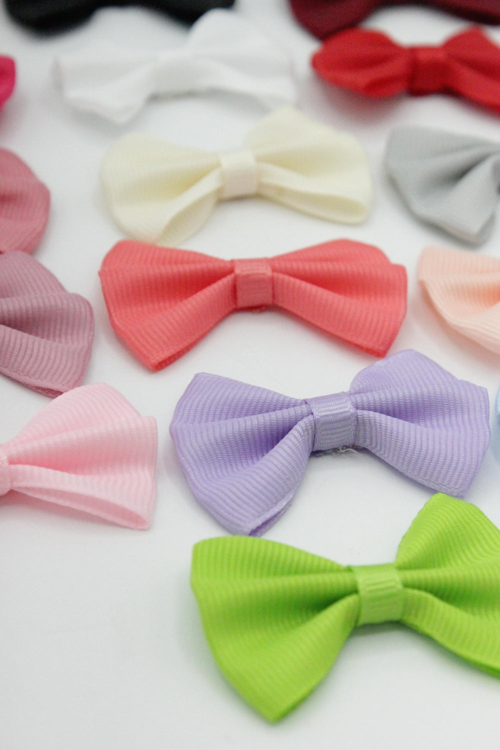 Fundita Ripsata, 50mm