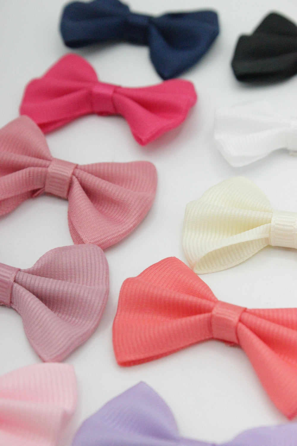 Fundita Ripsata, 50mm