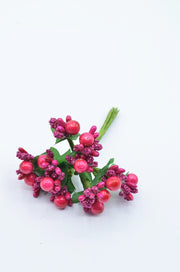 Stamina Cu Bobite mari (12 fire/Buchet) Fucsia