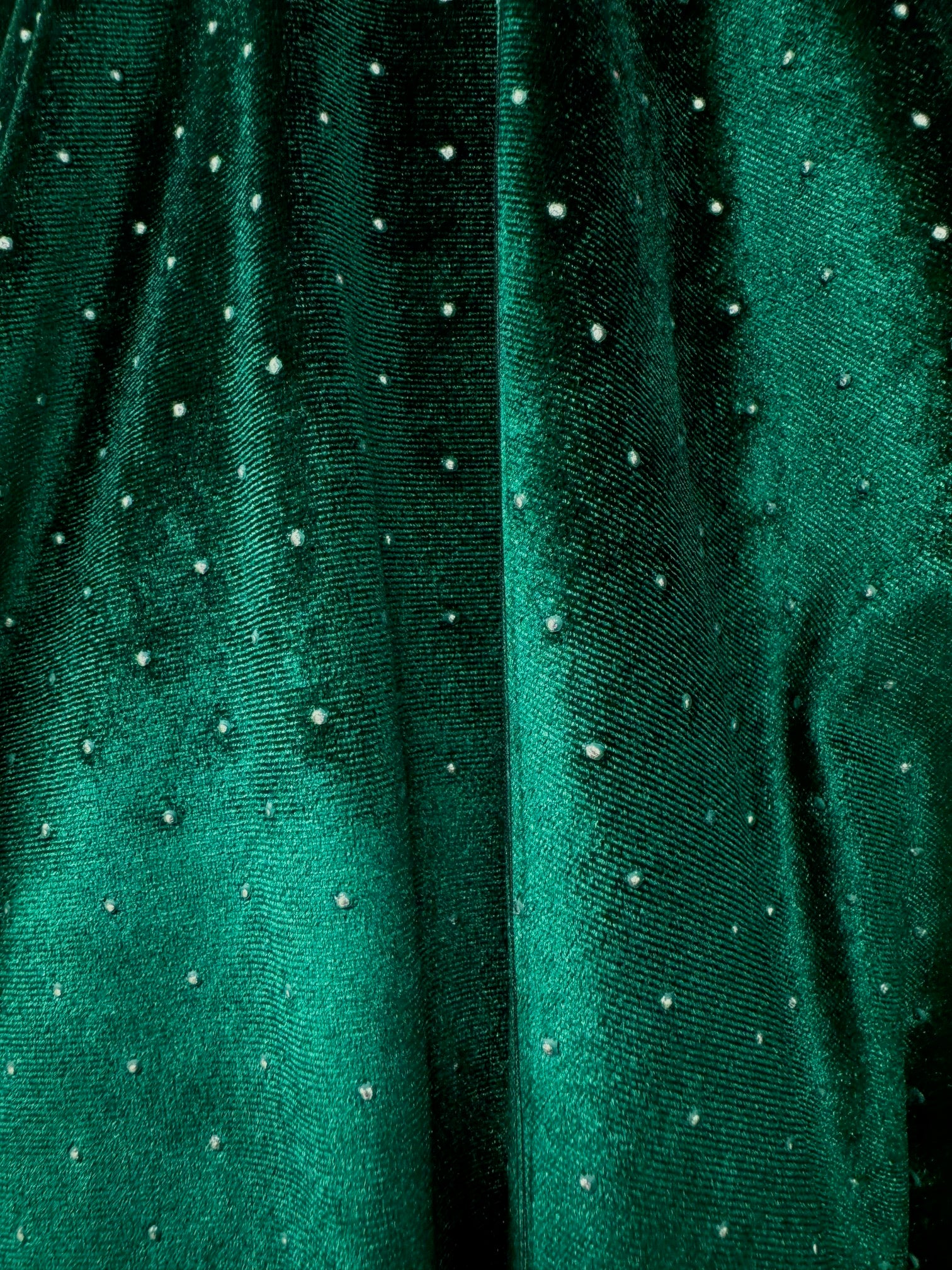 Catifea Elastica Cu Picatele Argintii, Verde
