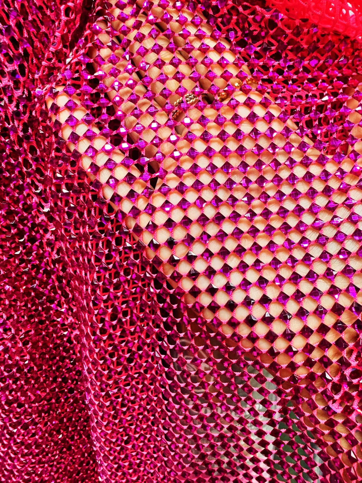 Plasa Elastica Cu Pietre De Sticla