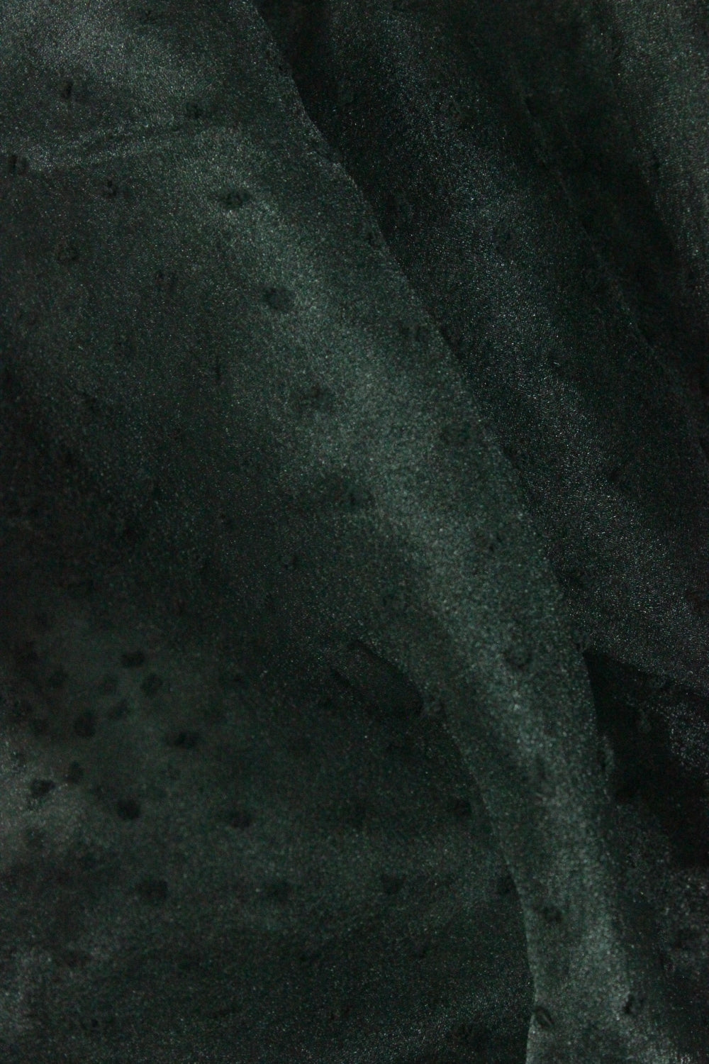 Organza Cu Picouri, Negru