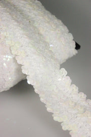 Pasmanterie Cu Paiete Elastica, 40mm