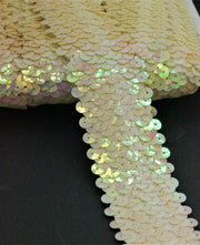 Pasmanterie Elastica Cu Paiete, 4cm